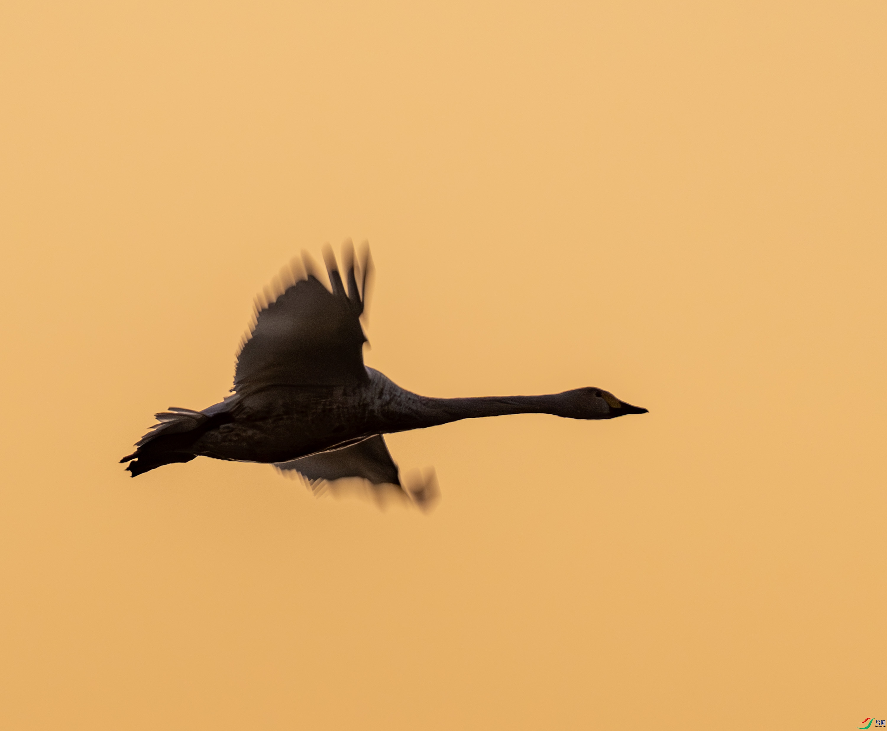 С���-01-7.jpg
