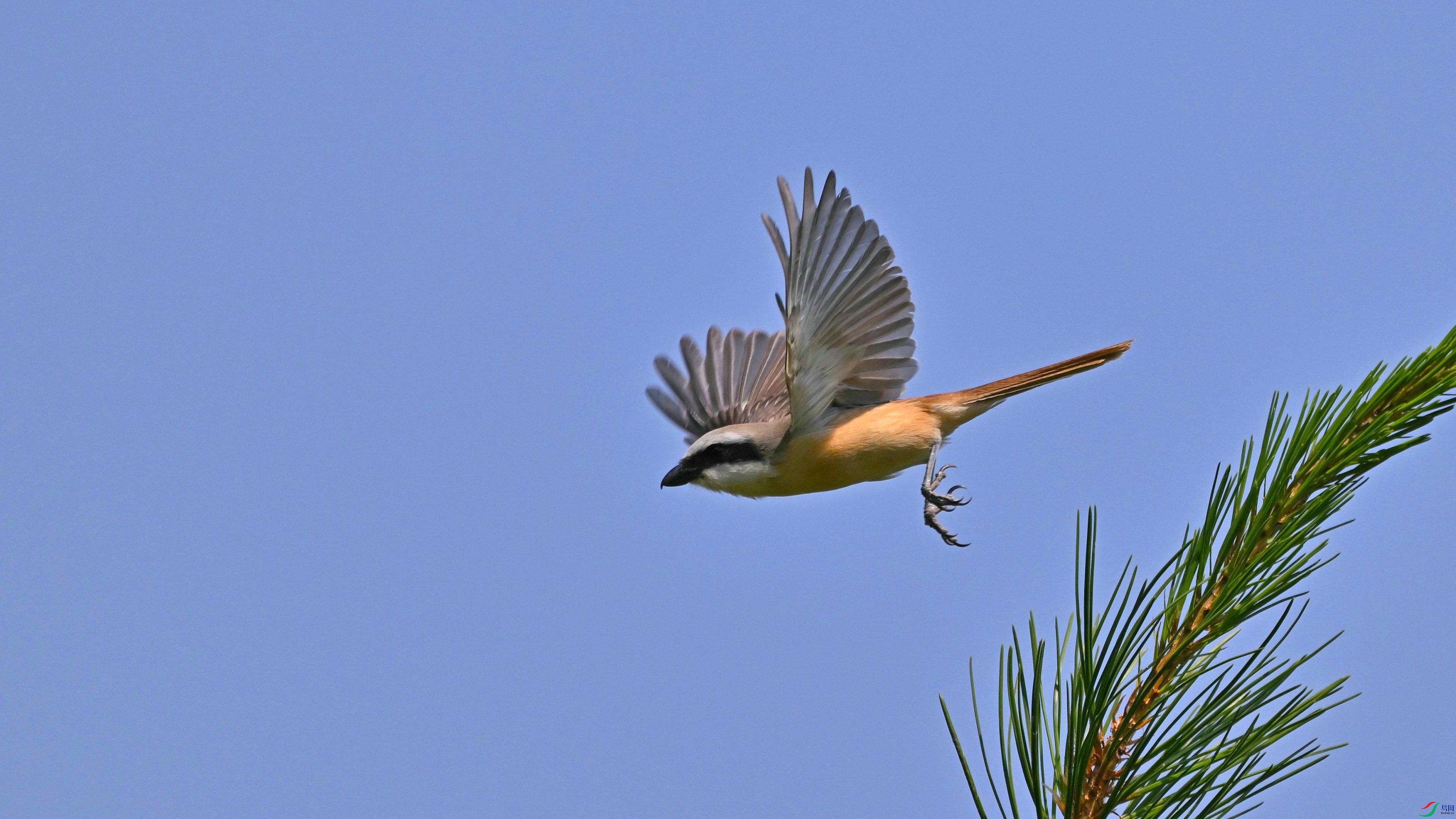 DSC_2294.JPG