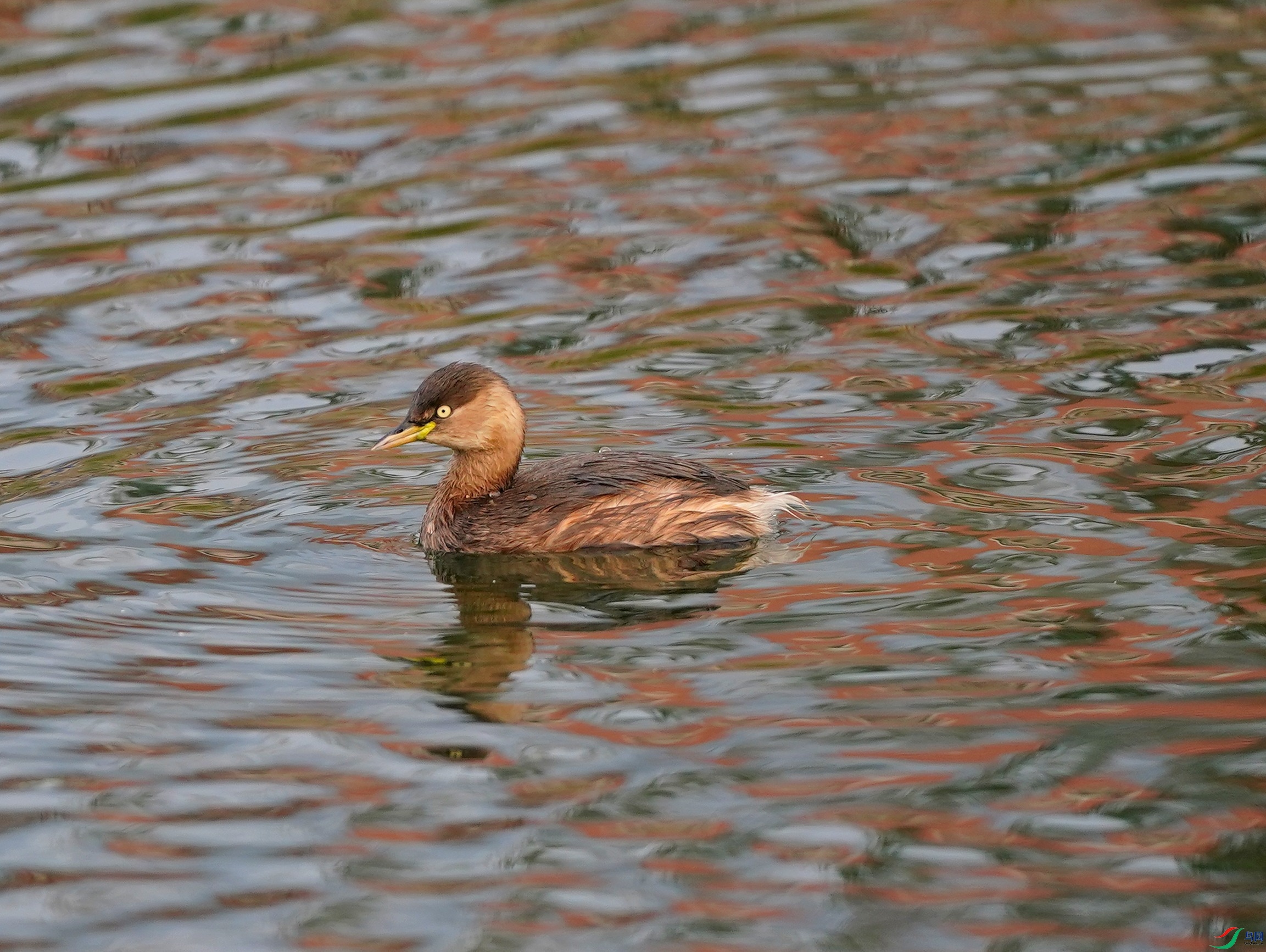 DSC07813.JPG