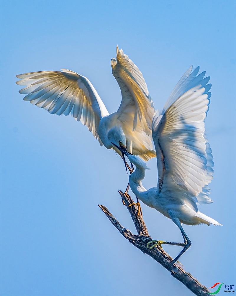 DSC_0283 .jpg