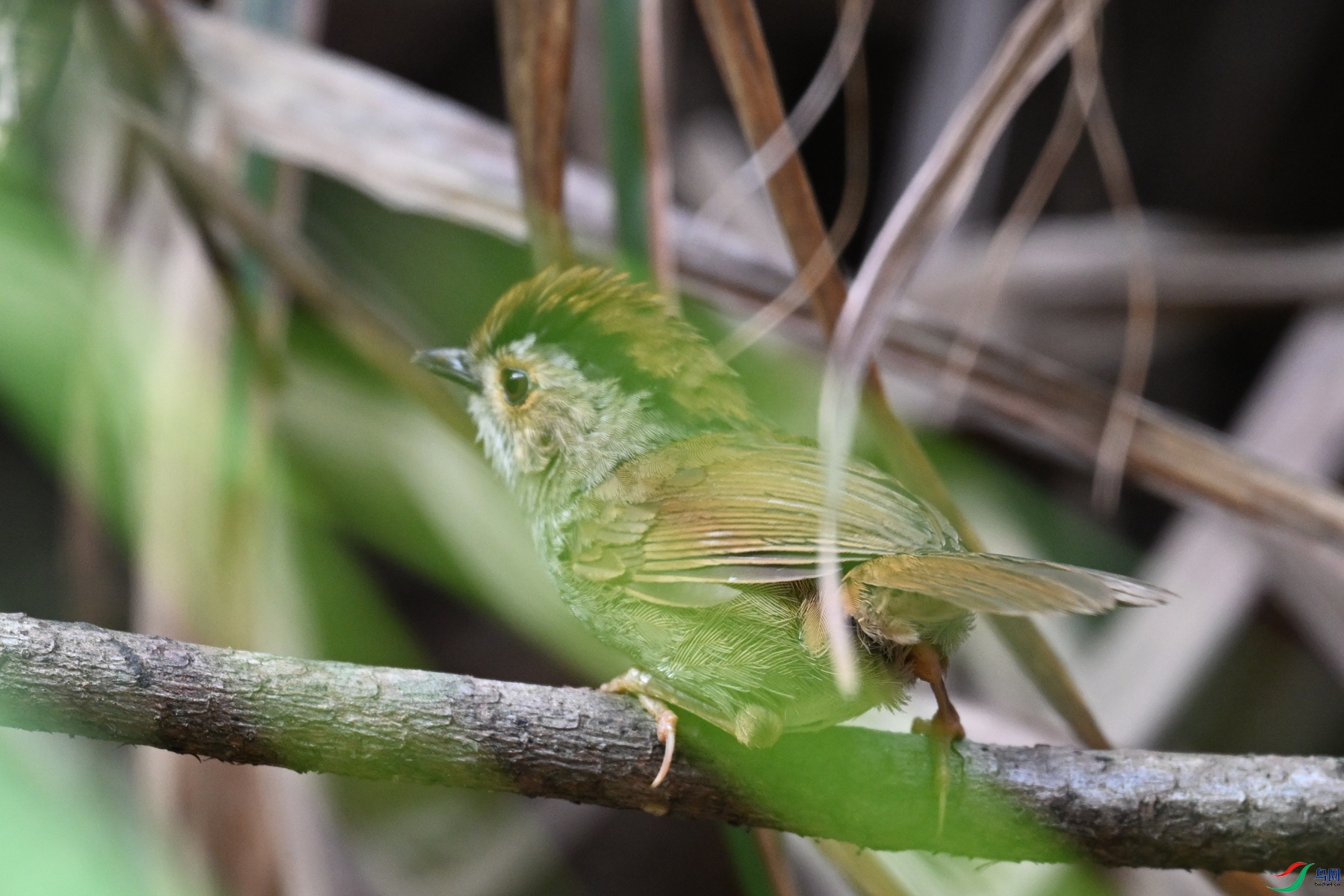 DSC_0155.JPG