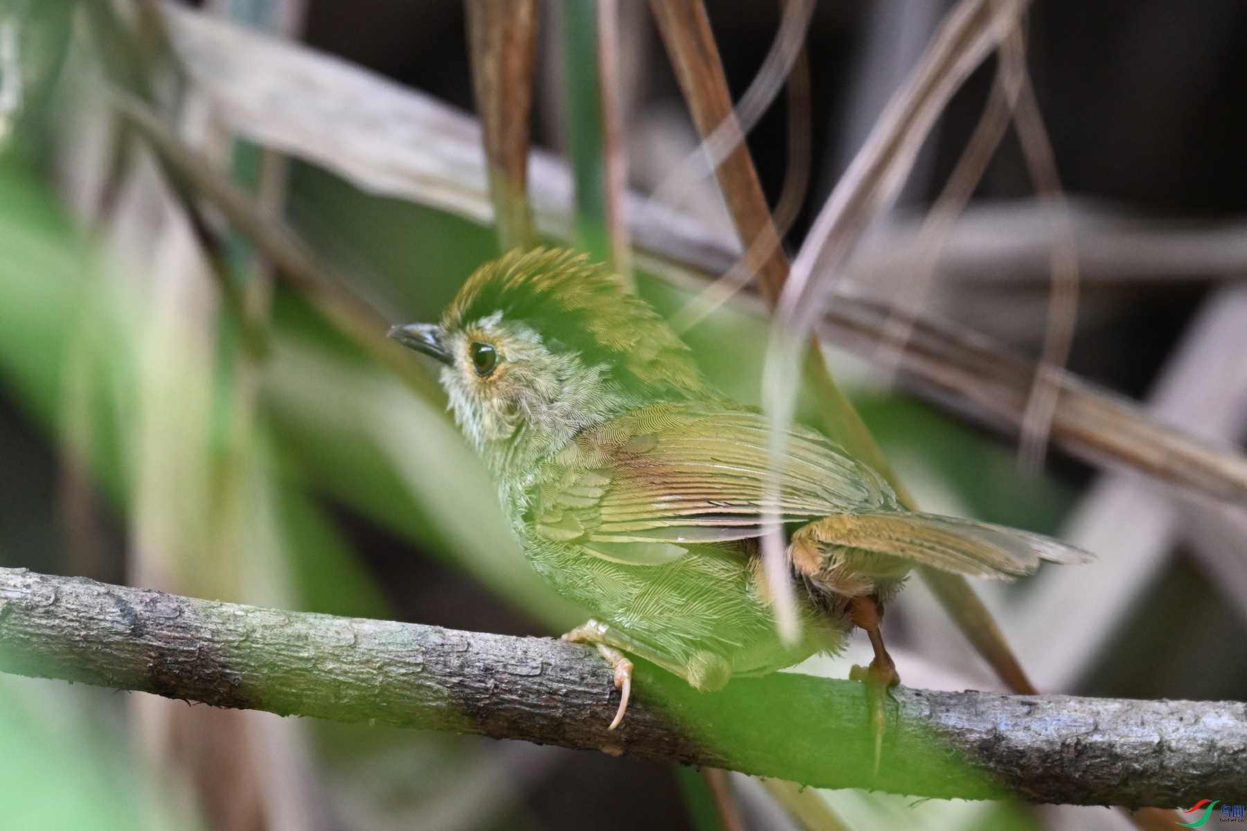 DSC_0157.JPG