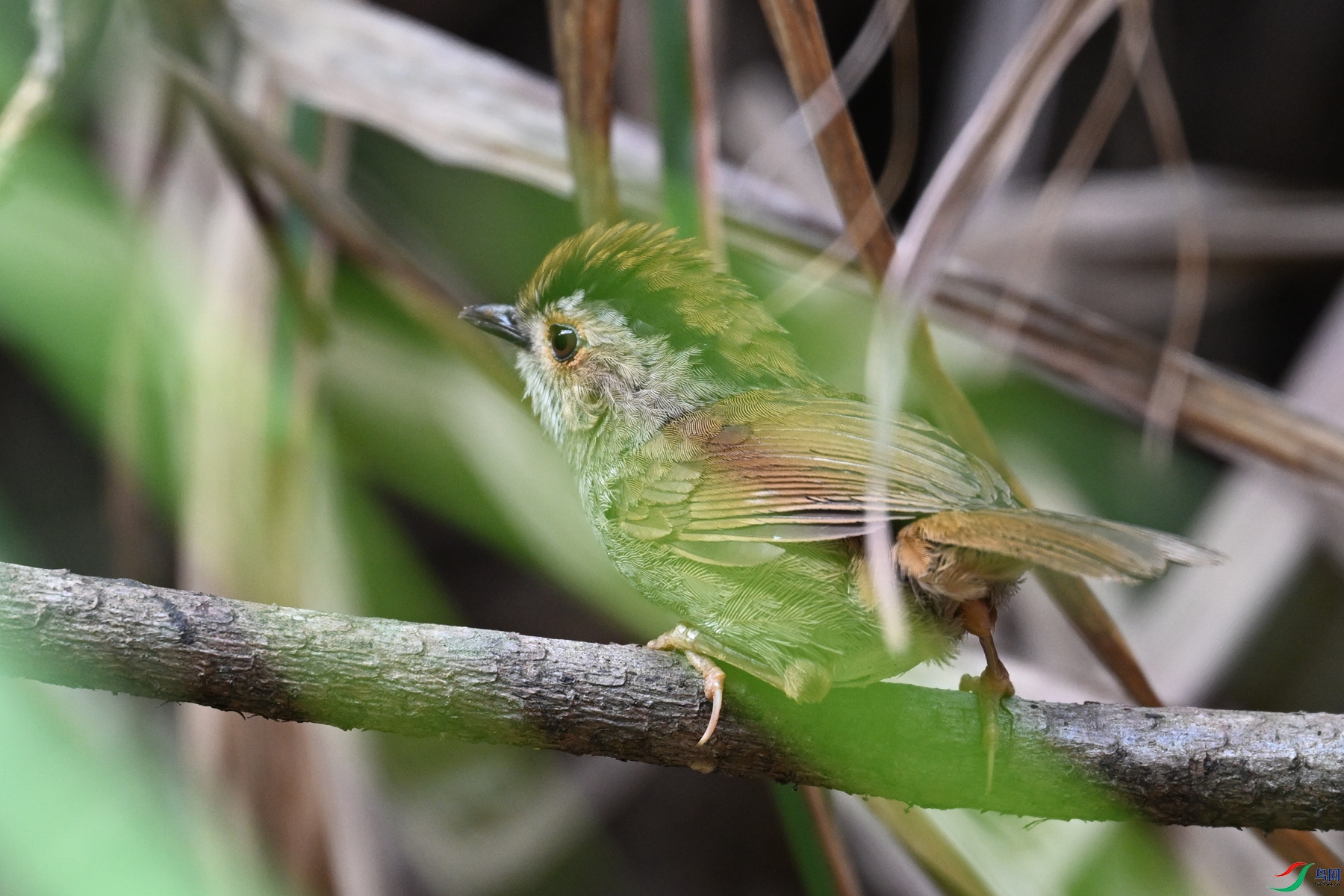 DSC_0158.JPG