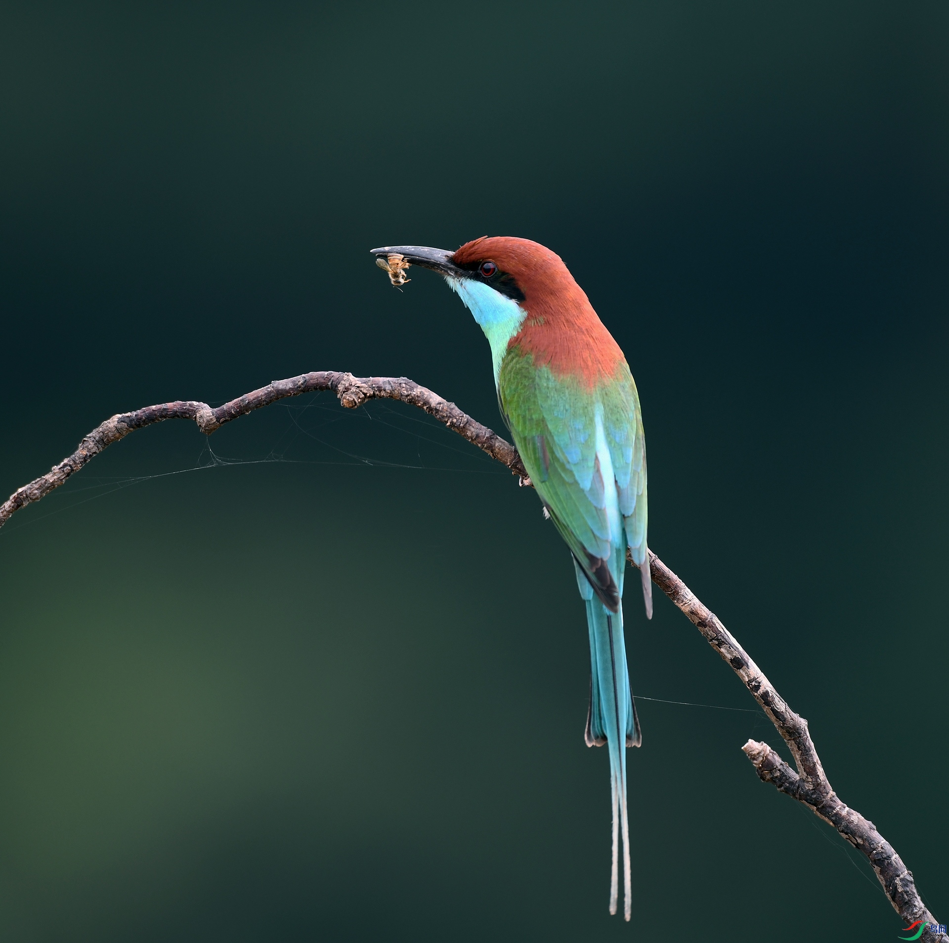 DSC_3482.jpg
