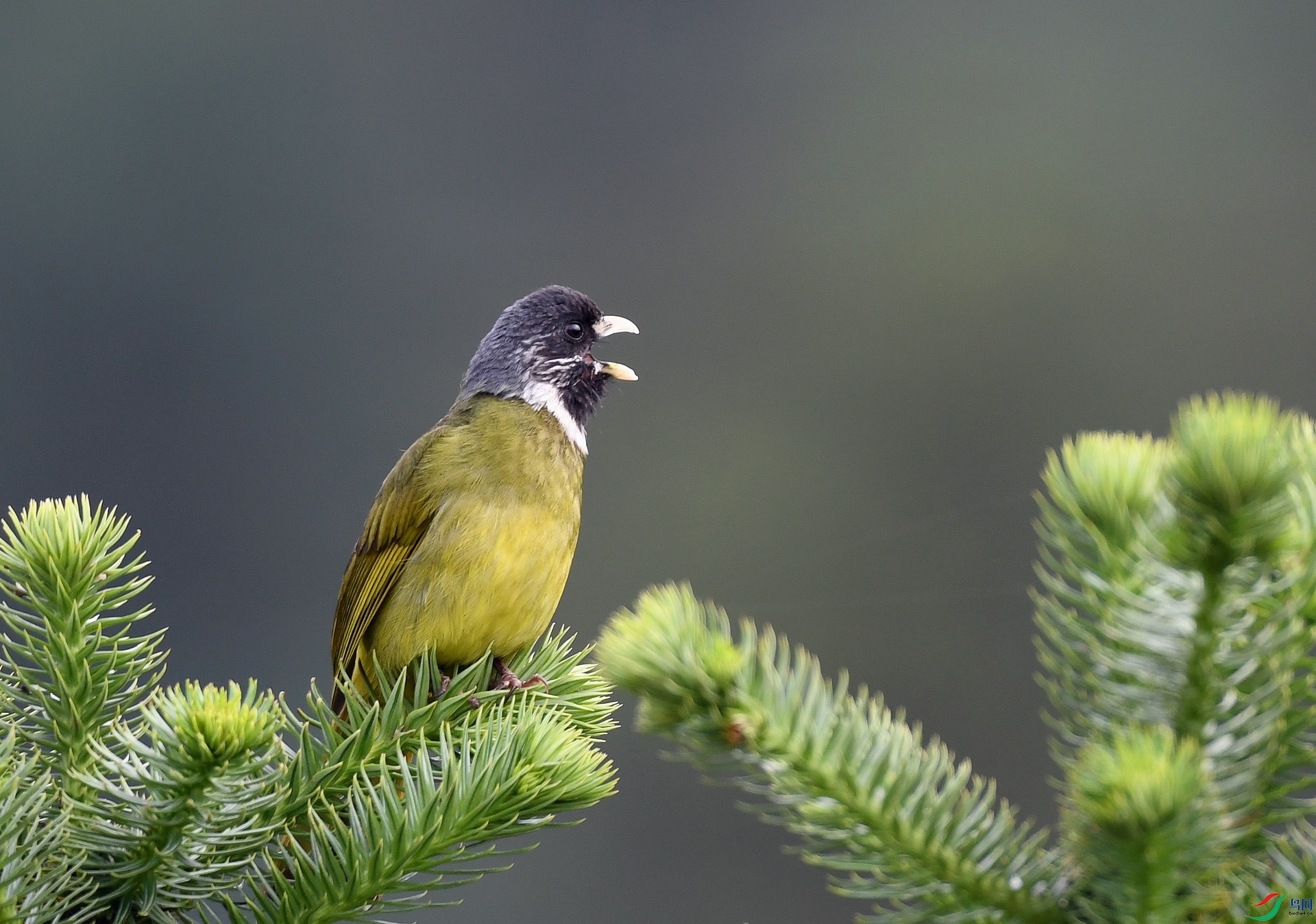 DSC_3416.jpg