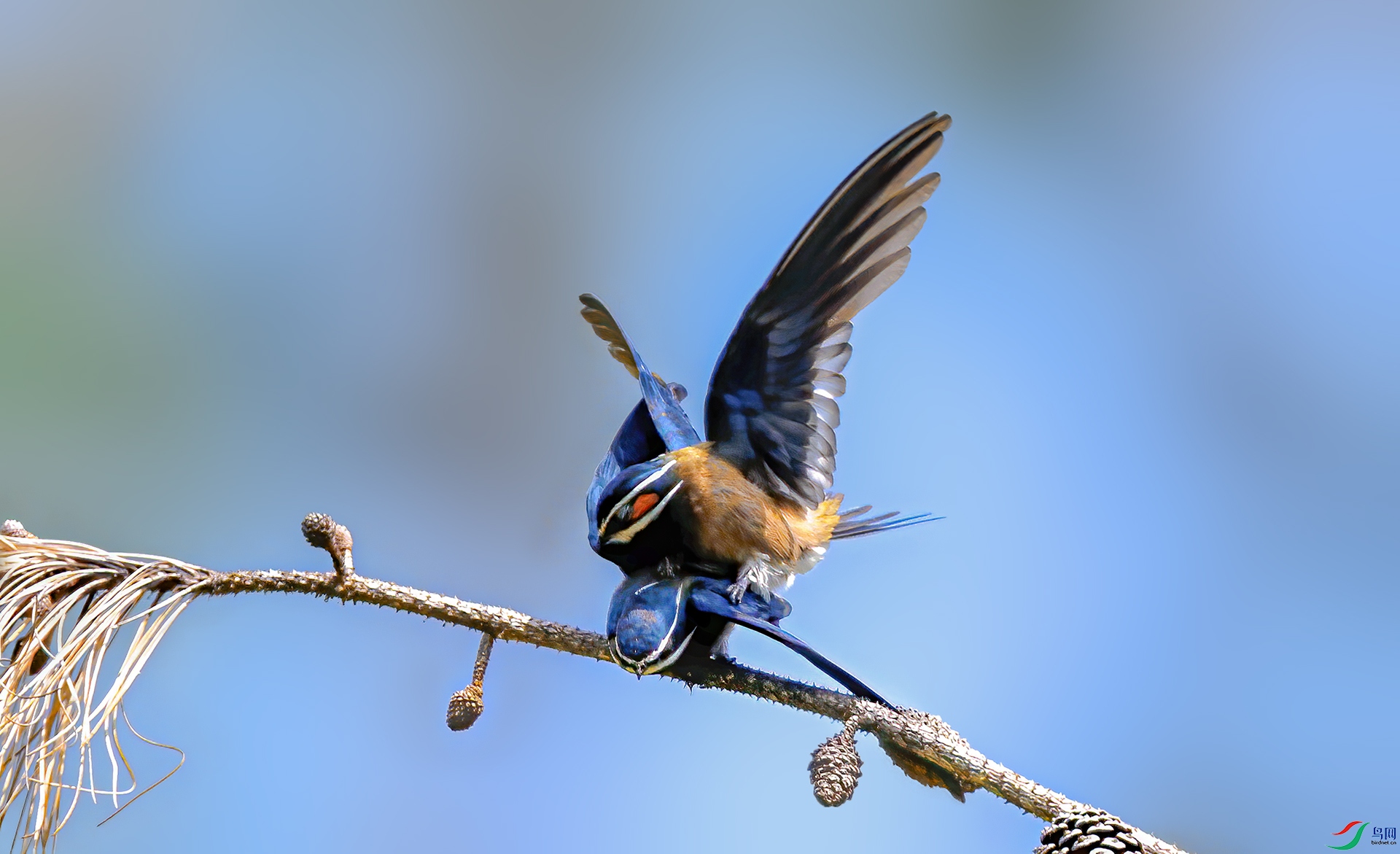mmexport1777714850200.jpg