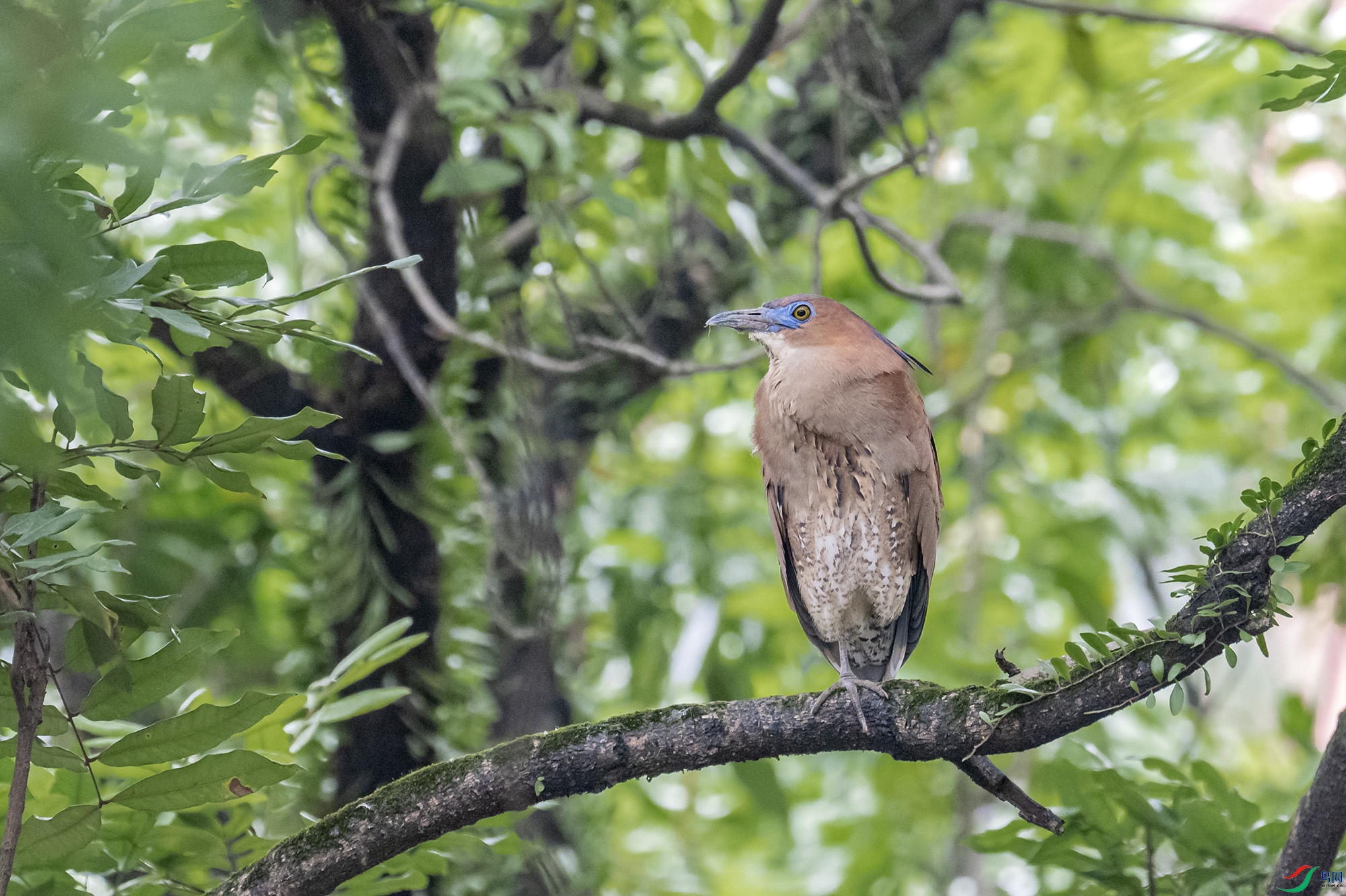 DSC_7822.jpg