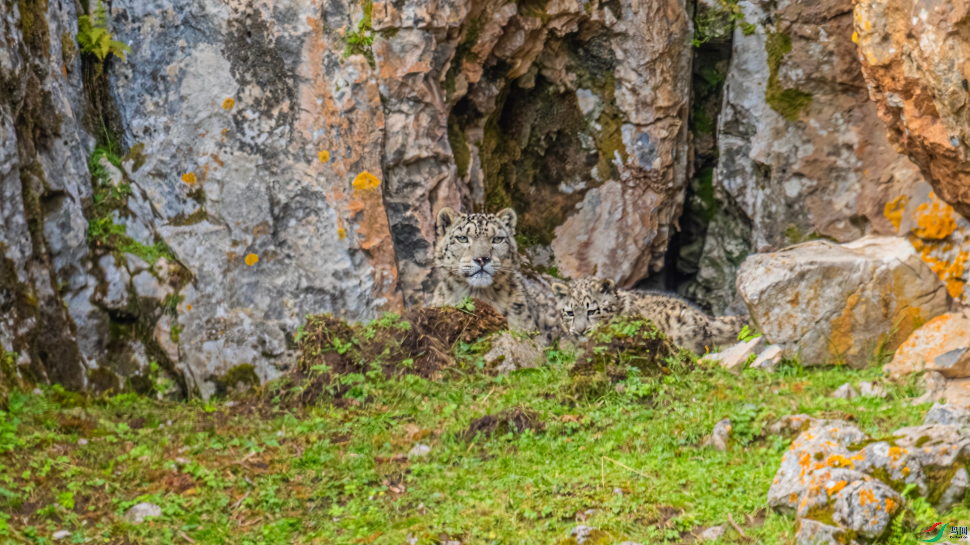 DSC_7694_����.jpg