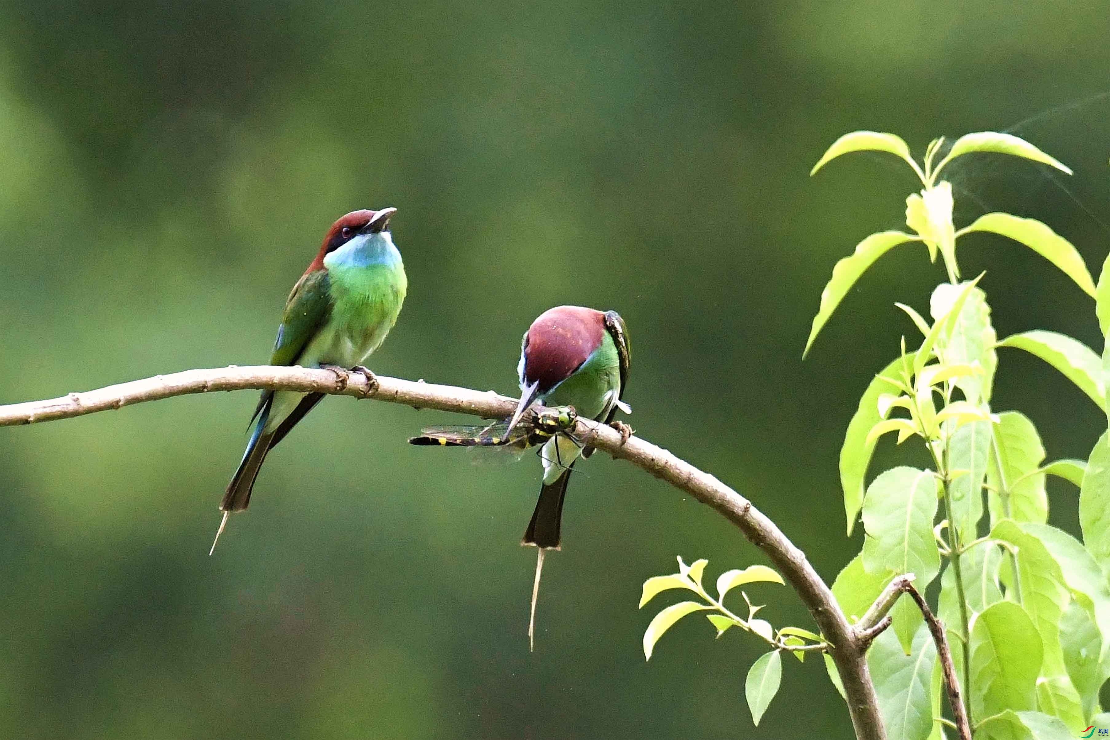 _DSC5907_����.jpg