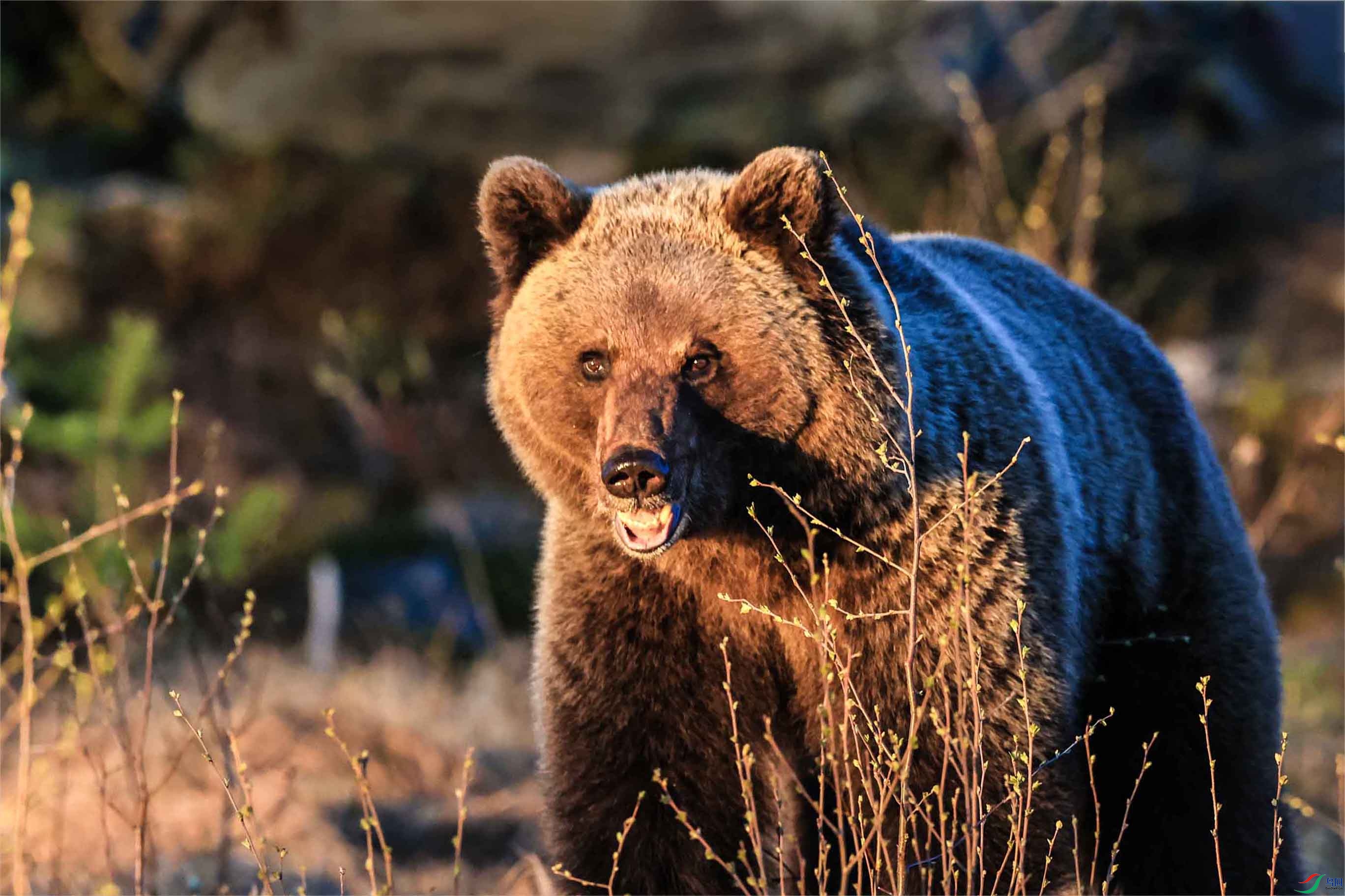 500��������ܽ�����ǰ.jpg