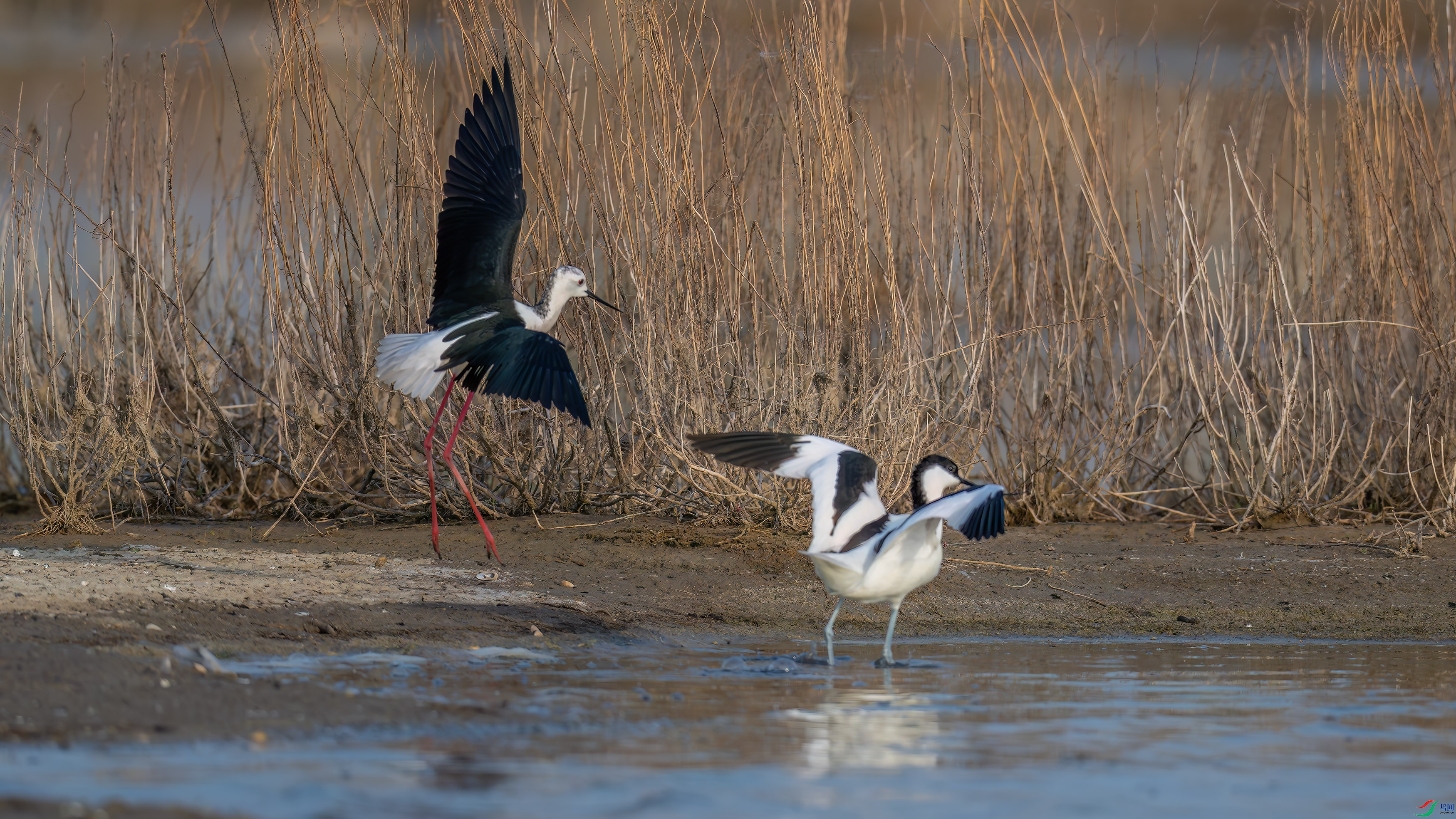 DSC_1169.jpg