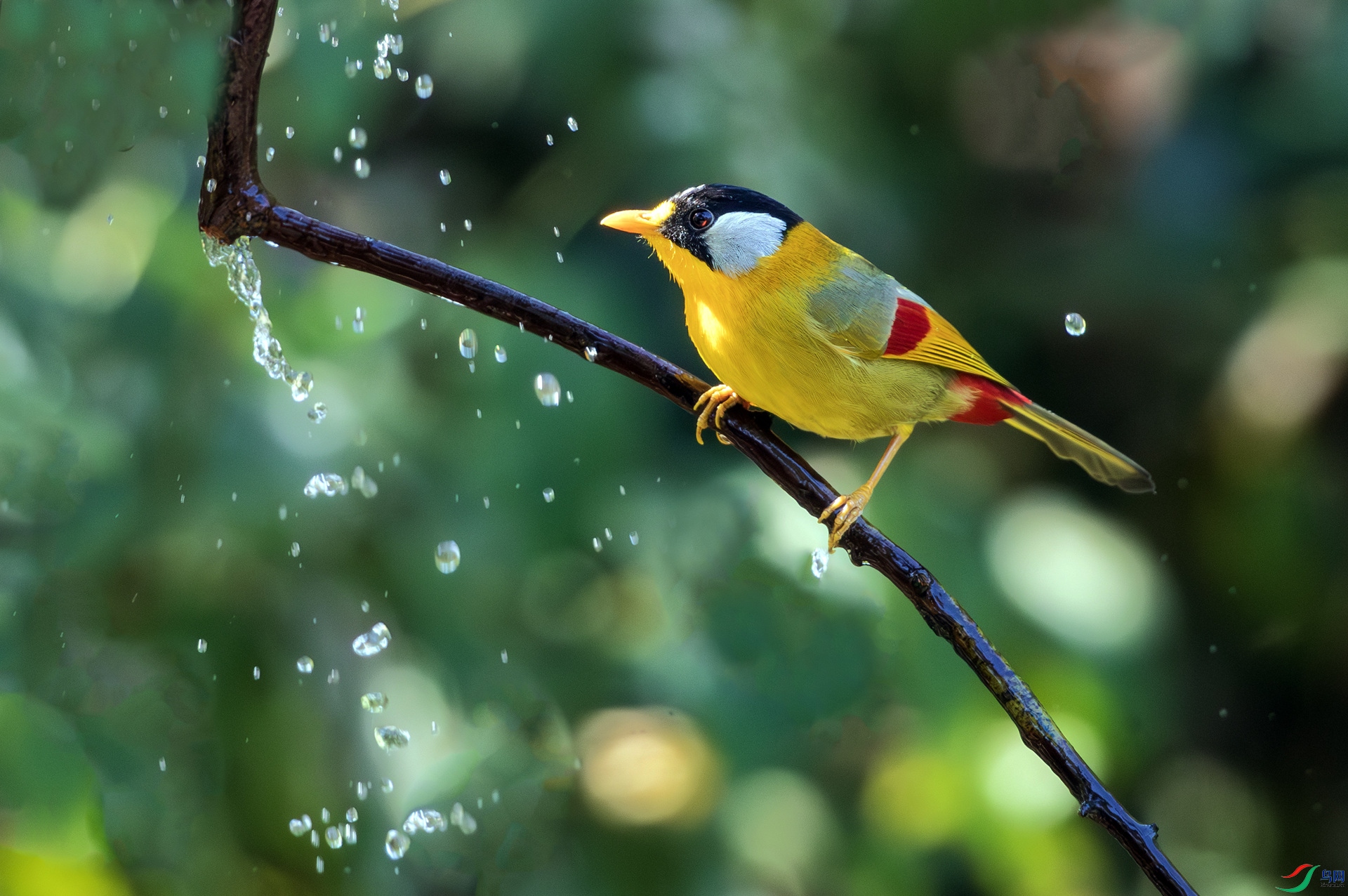 ������˼��-3.jpg