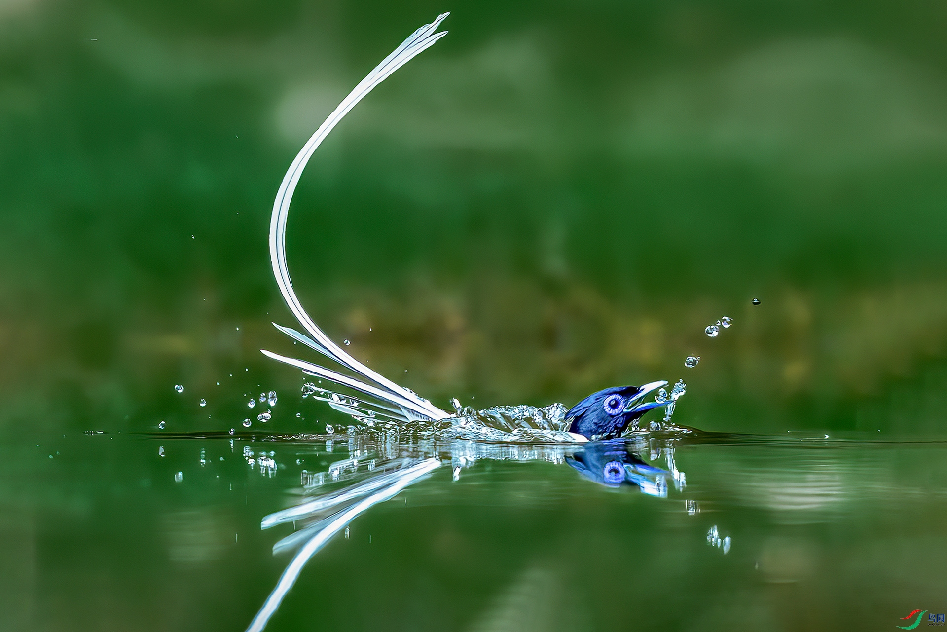 0D1A9184-8.jpg