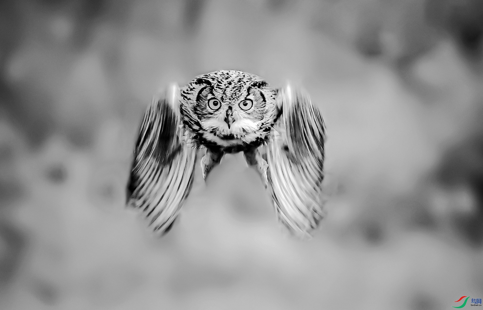 6689_����.jpg