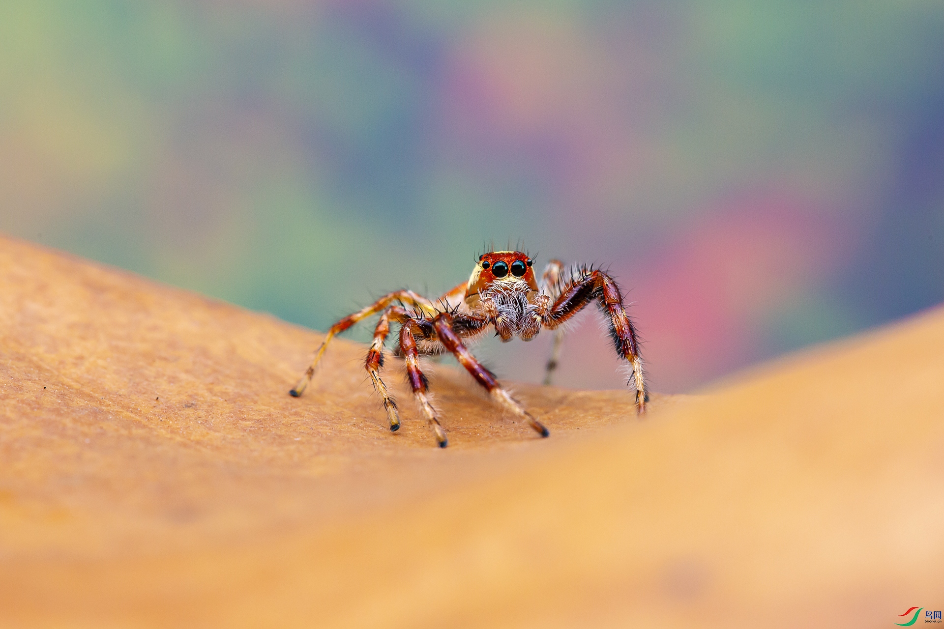 NK5A4938.jpg