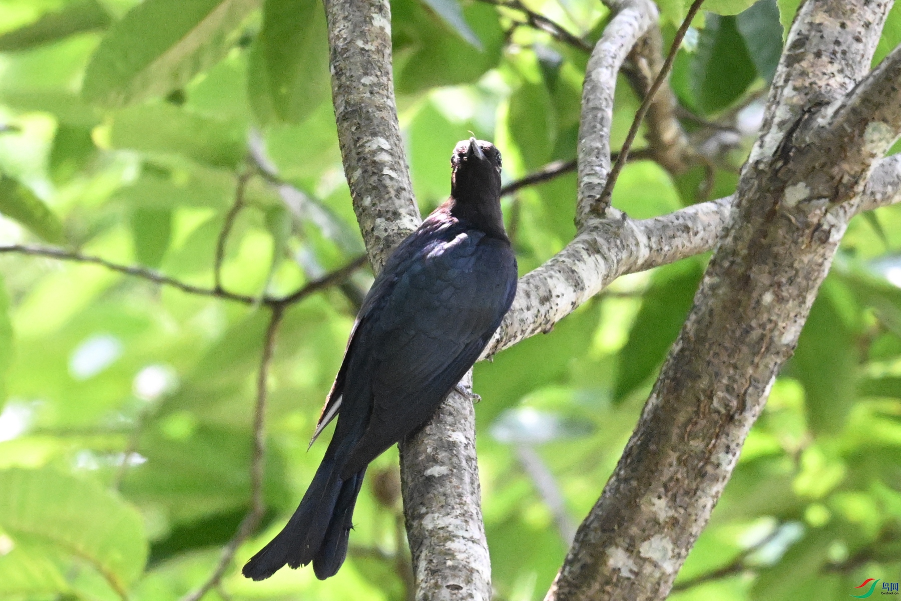 DSC_0616.JPG