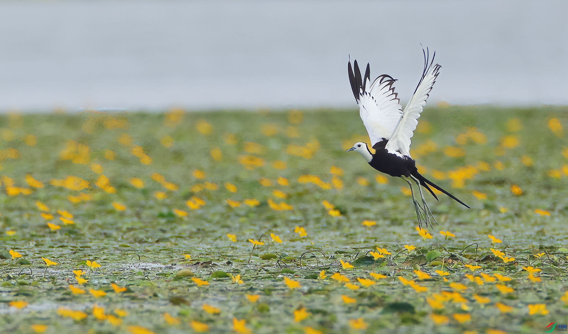 4R6A0296-SharpenAI-Motion.jpg