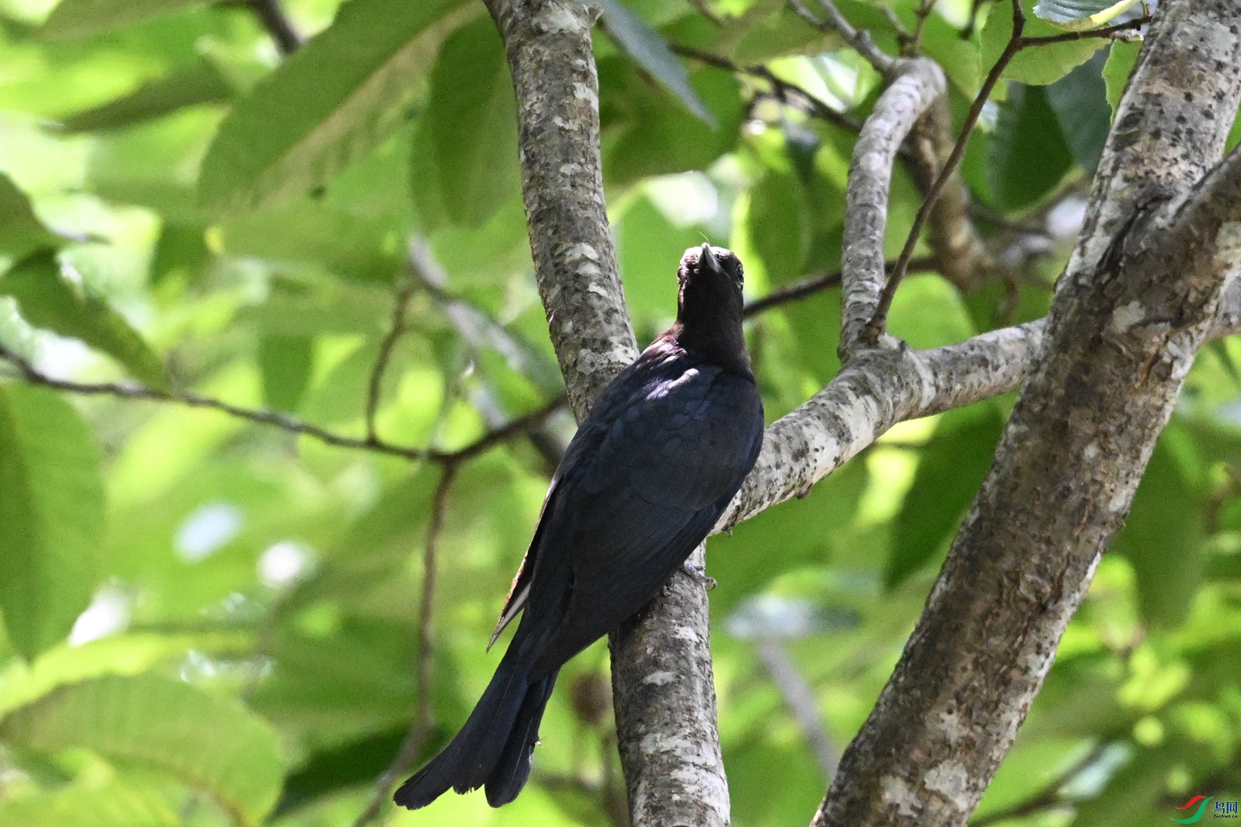DSC_0618.JPG