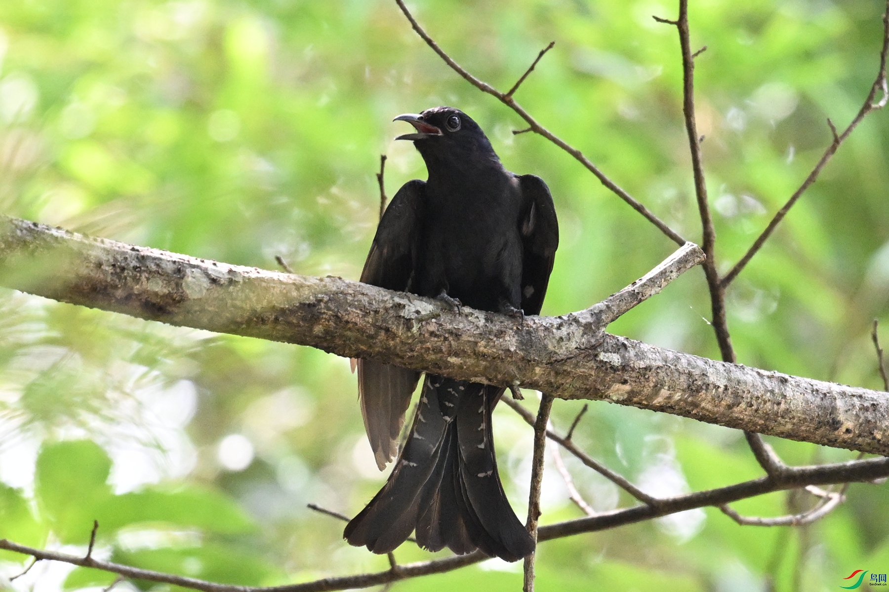 DSC_0668.JPG