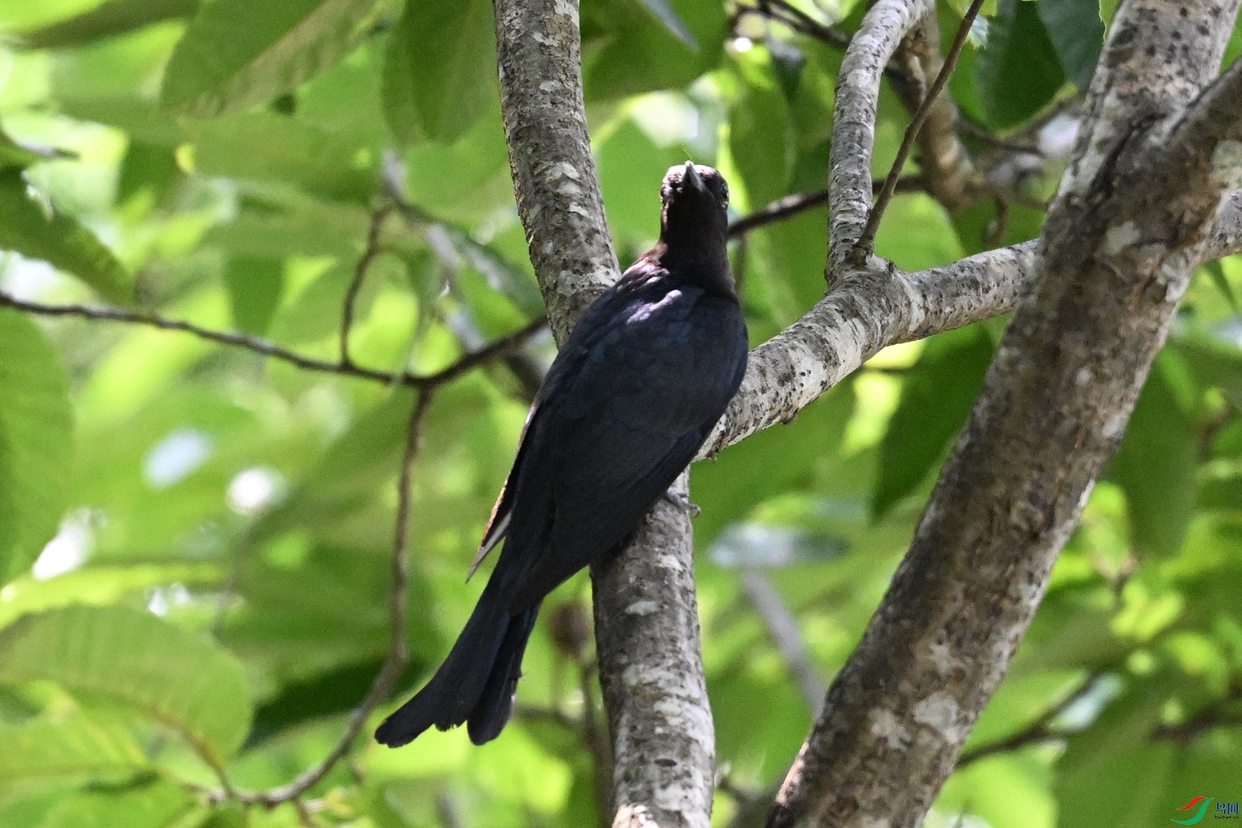 DSC_0621.JPG