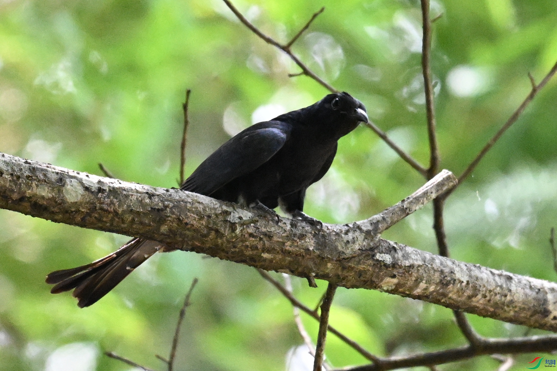 DSC_0644.JPG