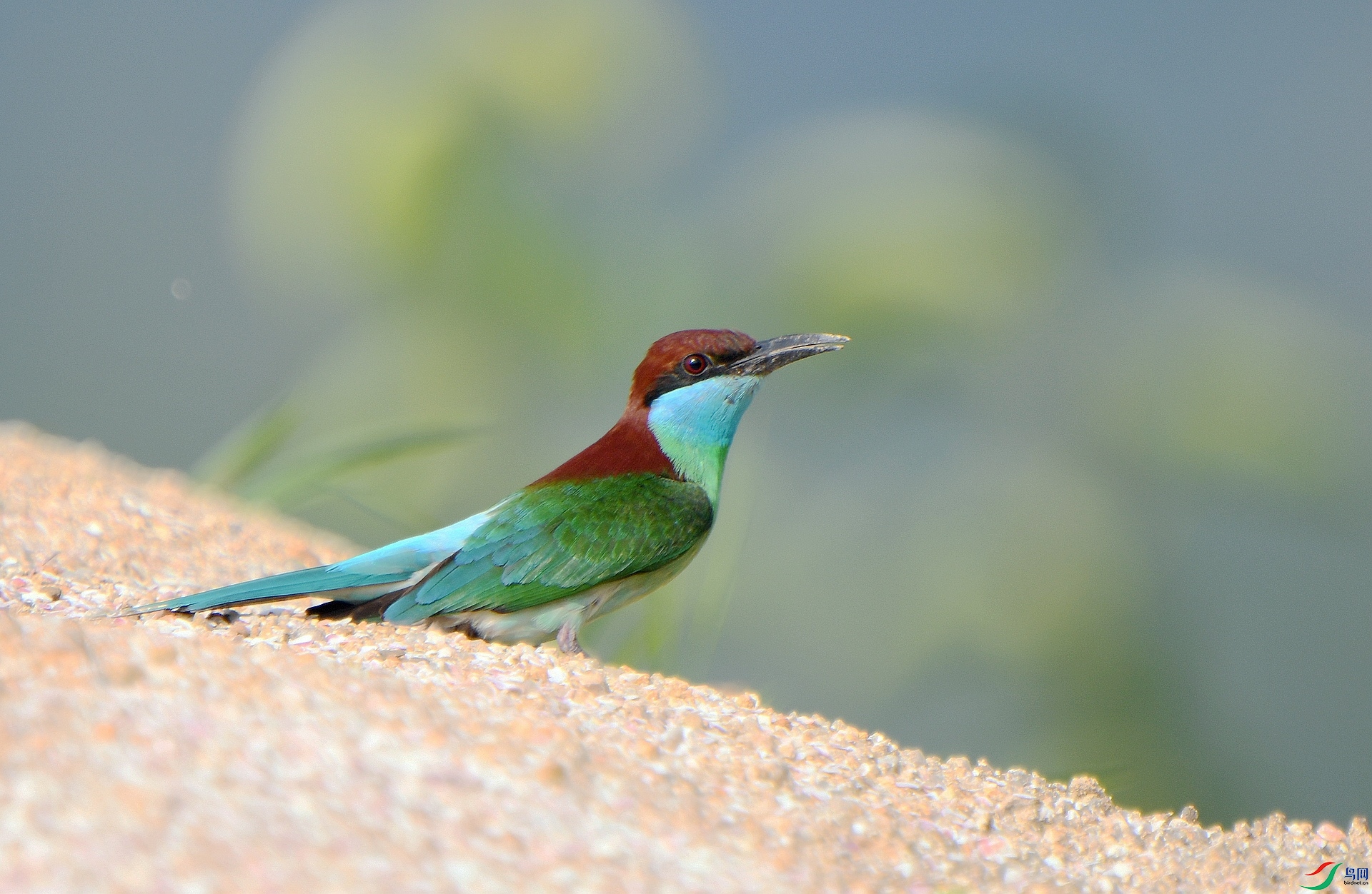 DSC_4970.jpg