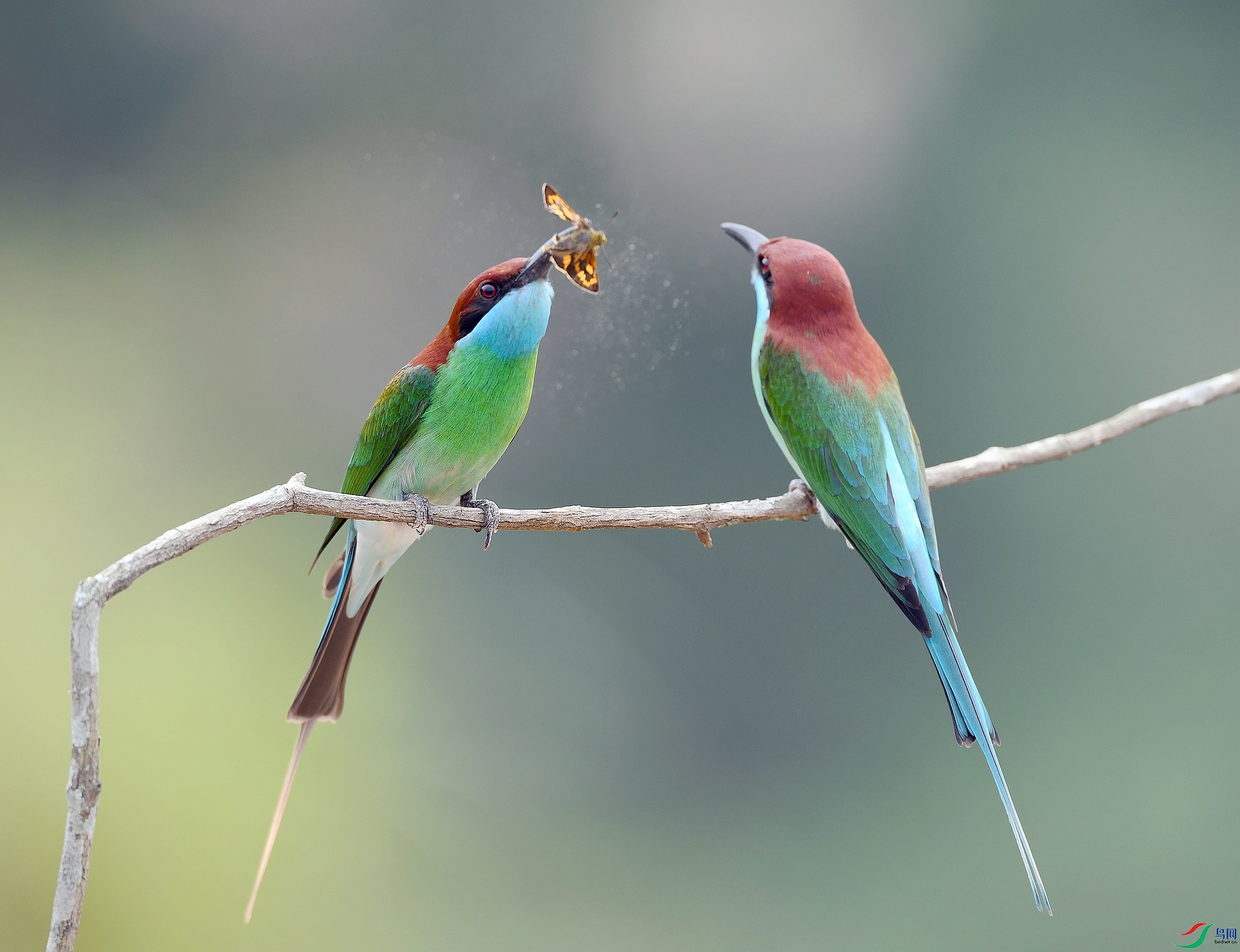 DSC_4122.jpg