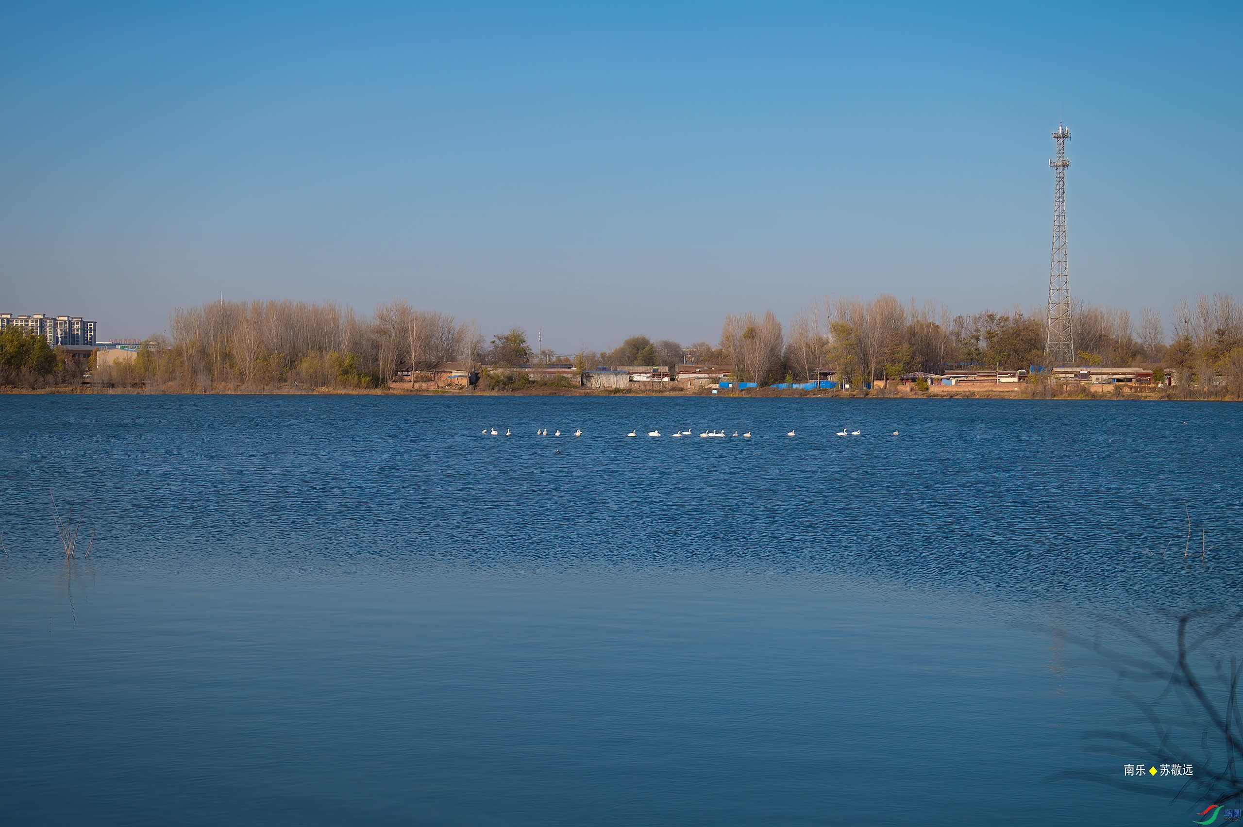 _AAA3841-DxO_С.jpg