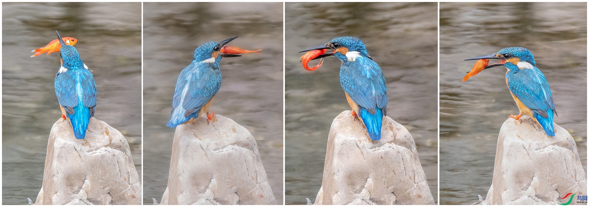 DSC_3748_��ͼ��_��ͼ�� ���� 2.jpg
