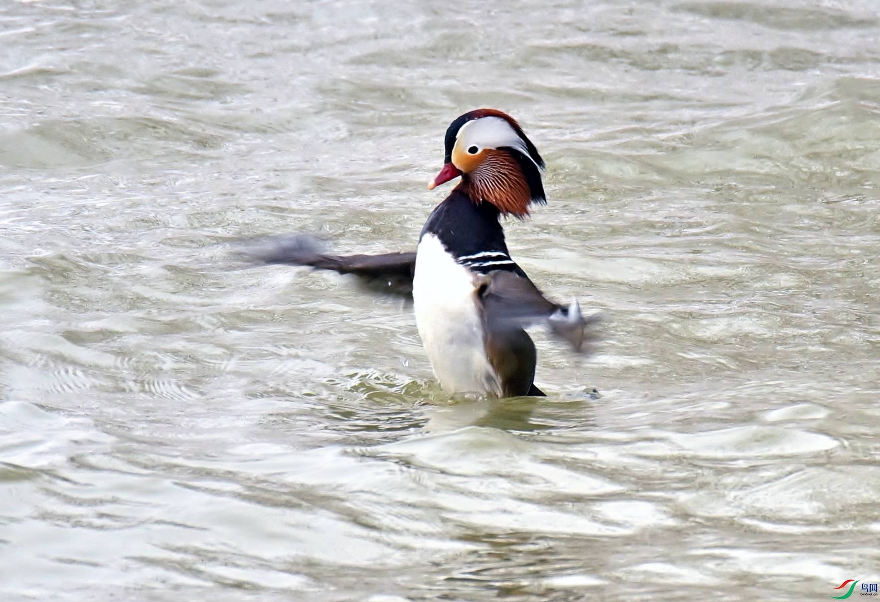 DSC_0820.JPG