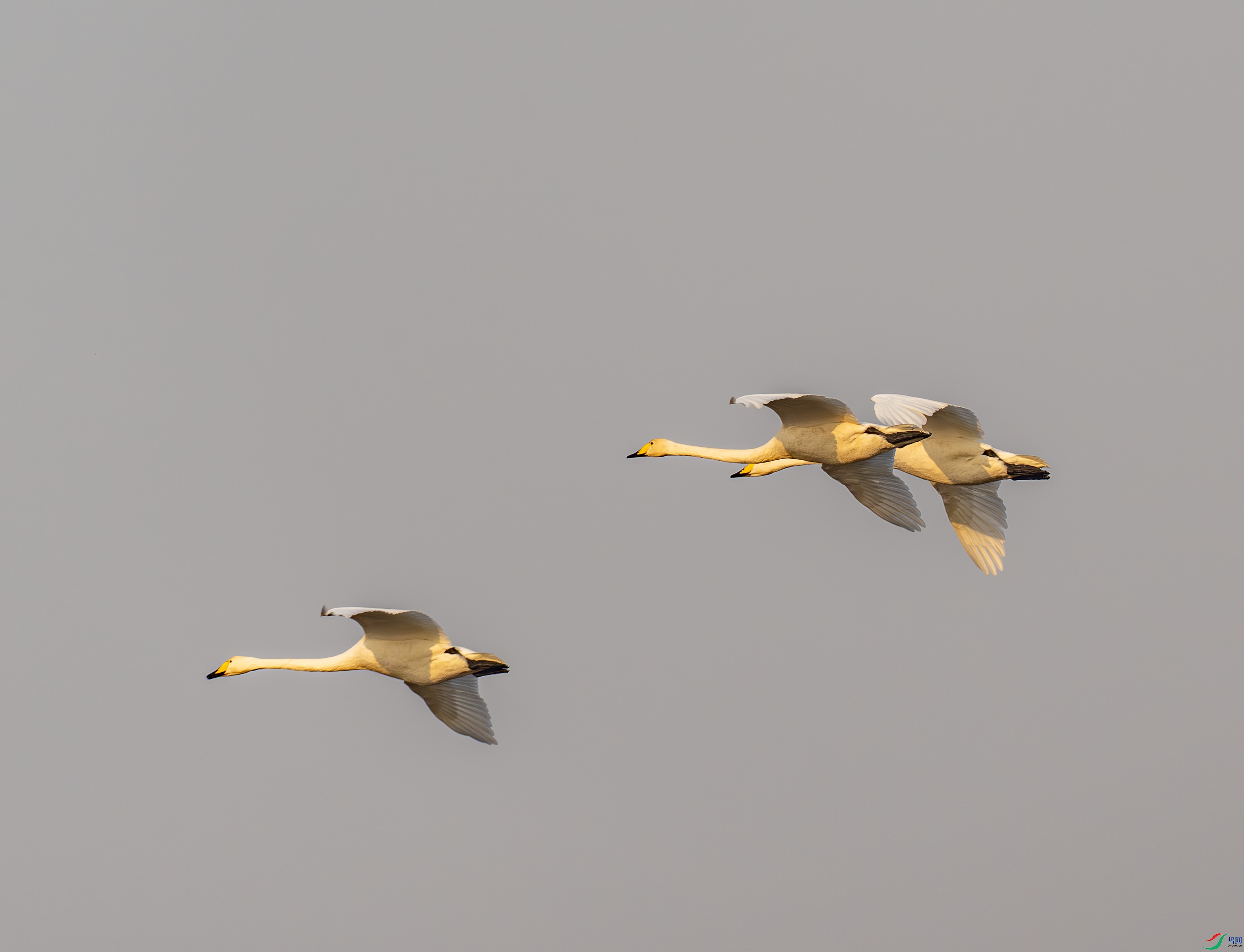 �����-02-8.jpg
