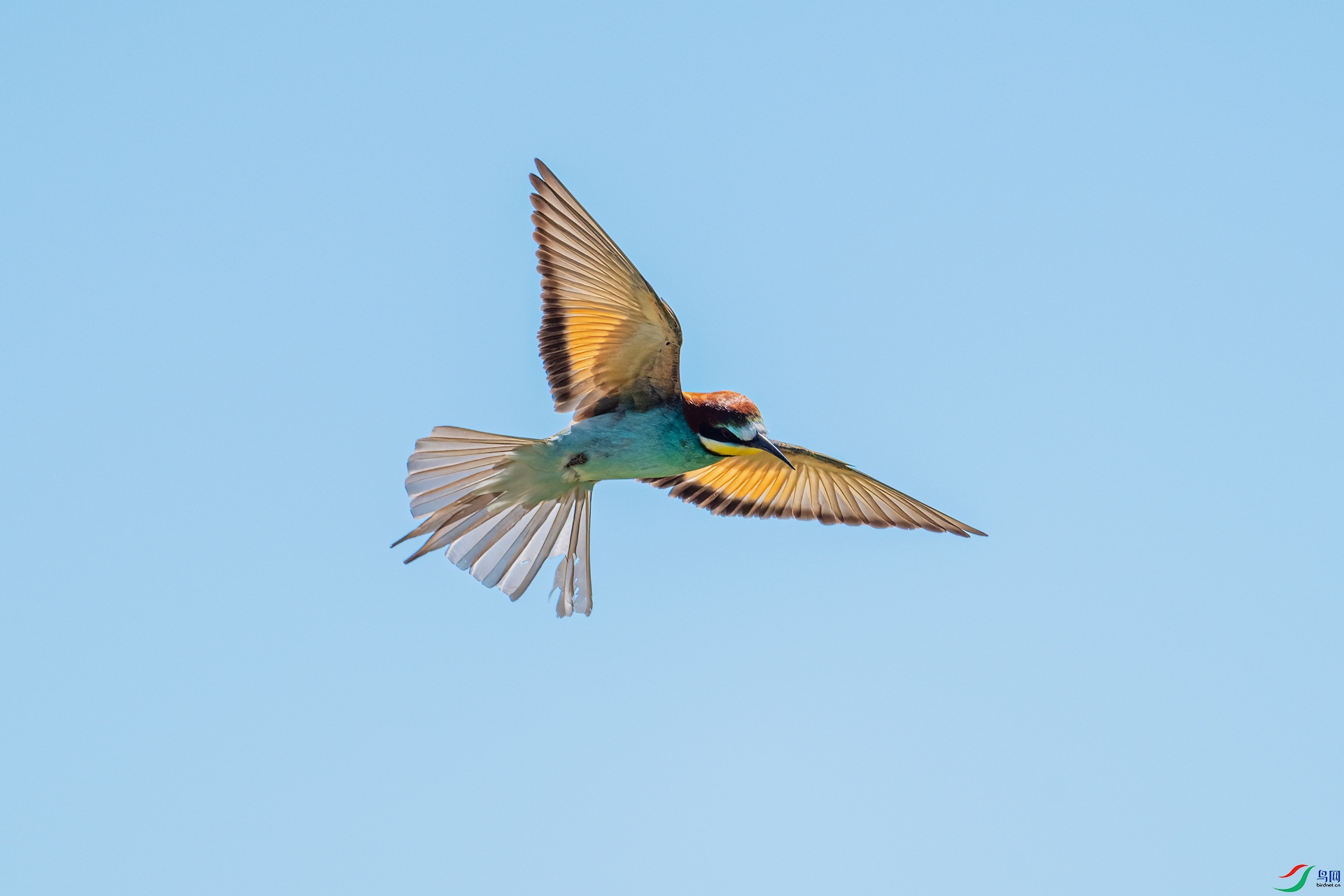 DSC_0612.jpg