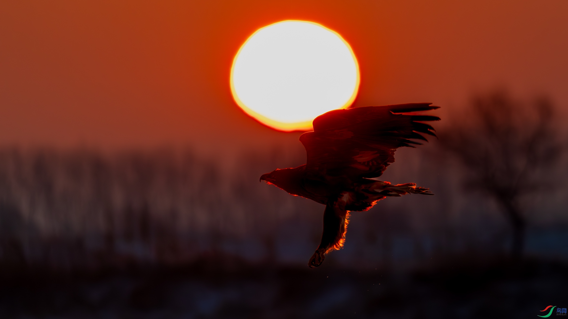 _11A2781-1.jpg