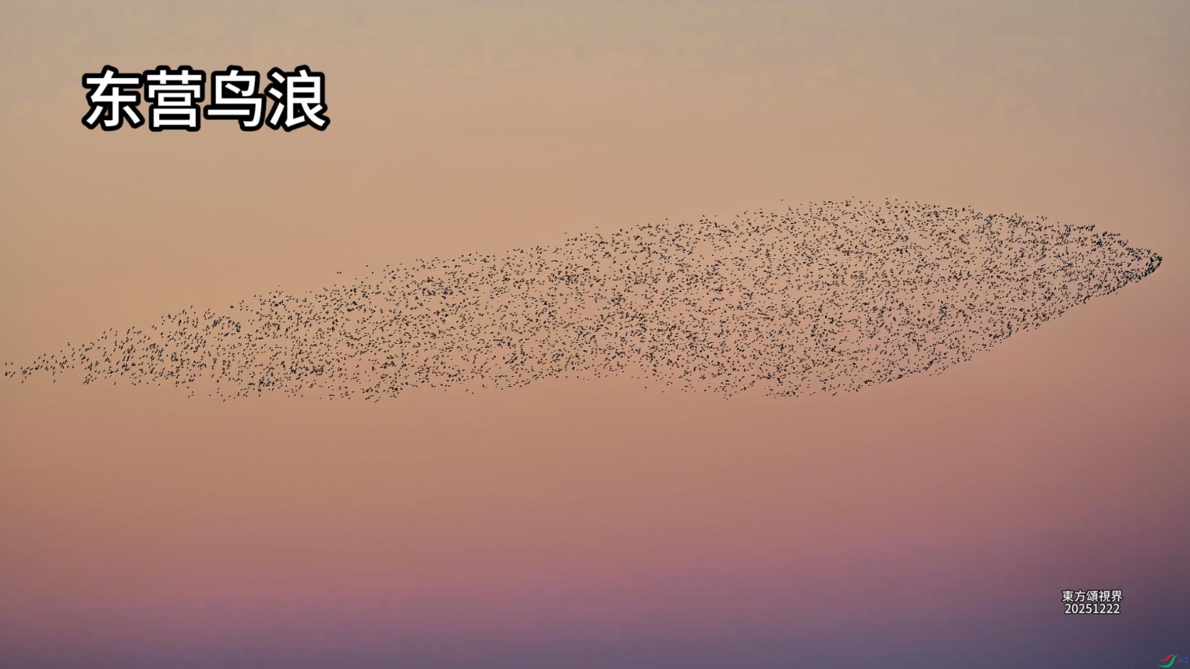 6��13�� ��Ӫ����-����.jpg