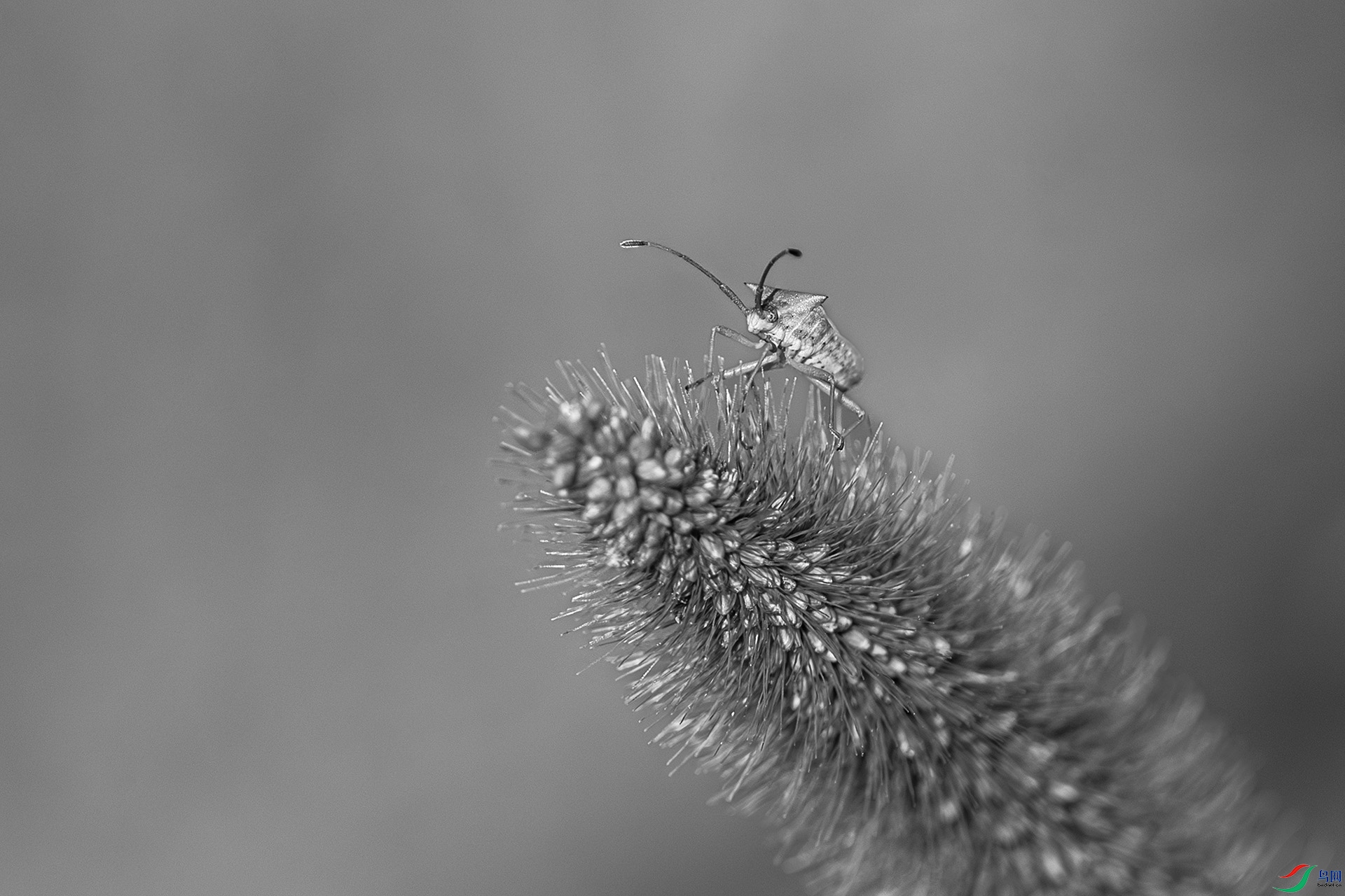 0613��β����.jpg