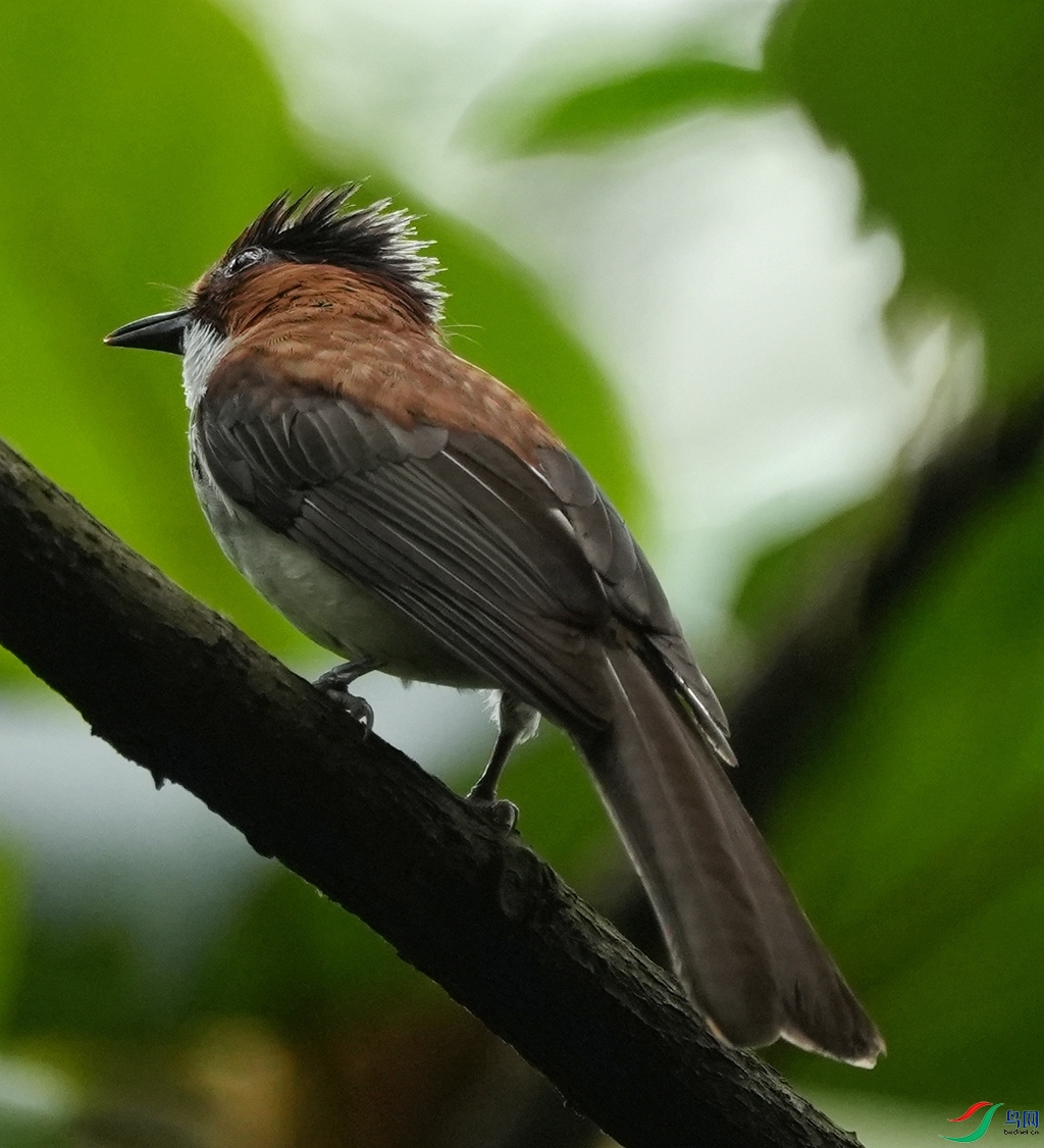 DSC05217_����.jpg