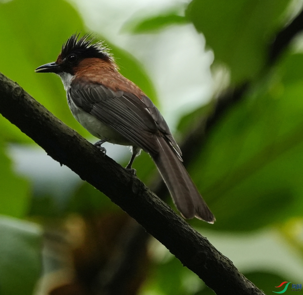 DSC05226_����.jpg