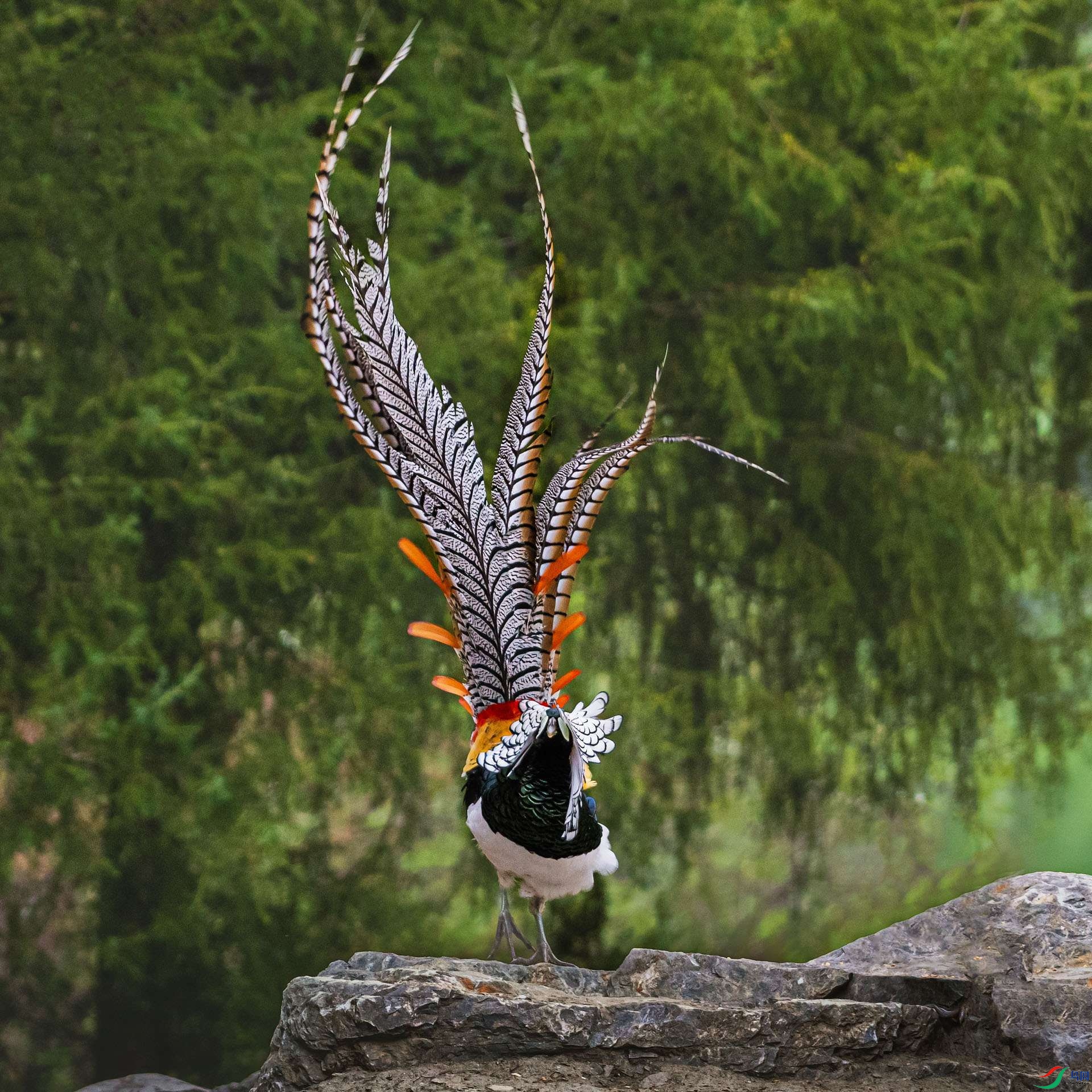 DSC5239-1.jpg