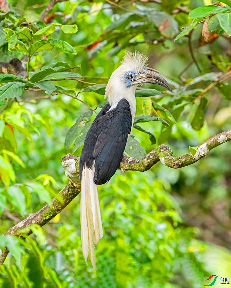 DSC_0223 .jpg