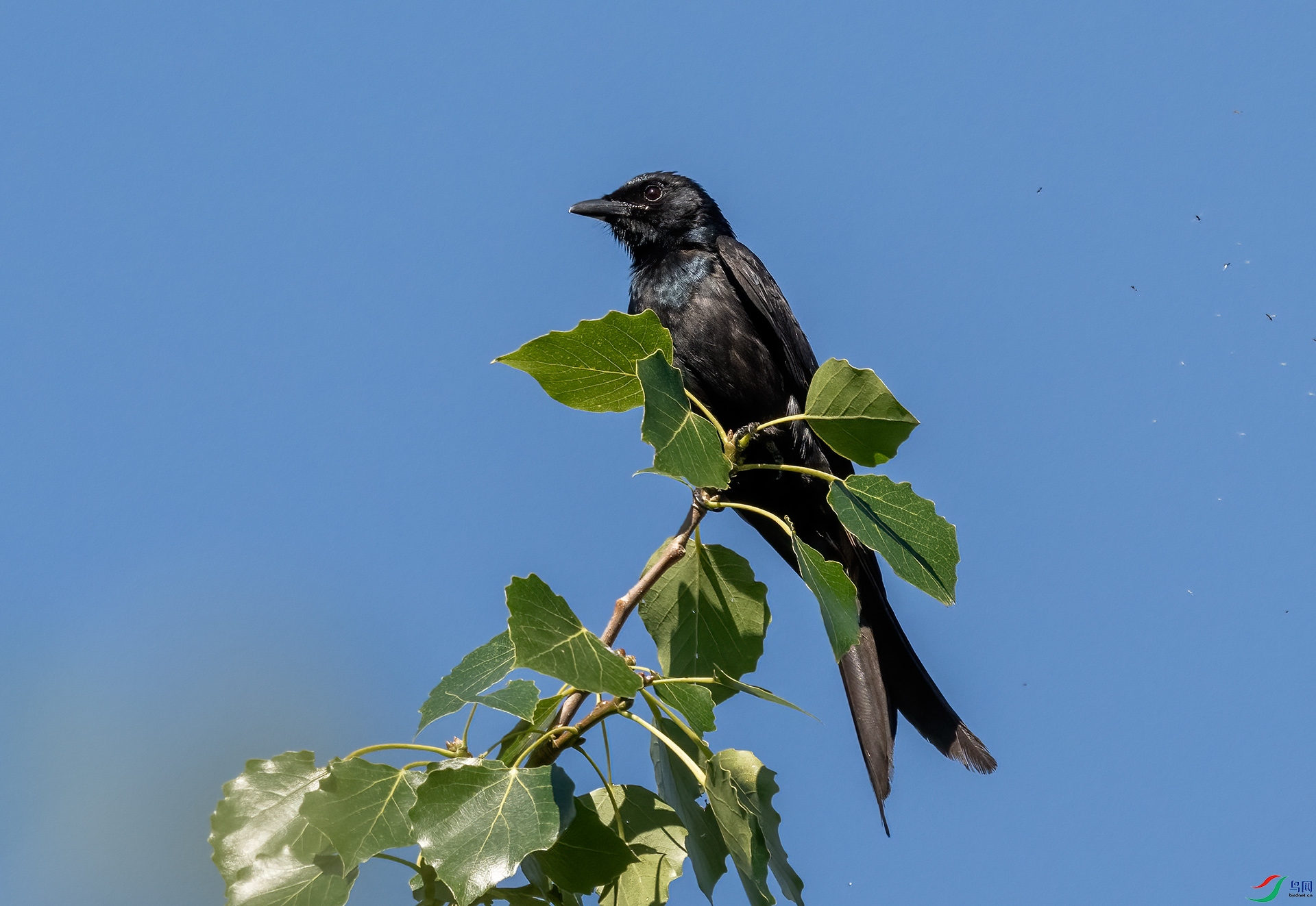 _DSC3584-.jpg