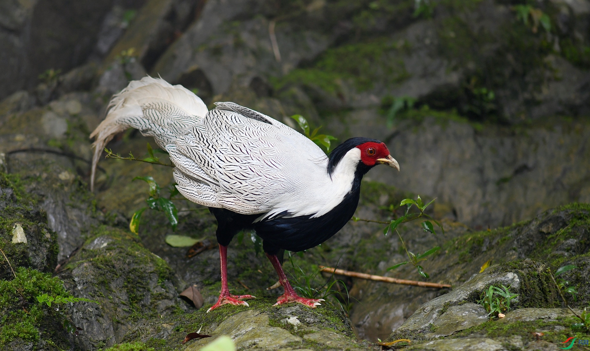 DSC_7034.jpg