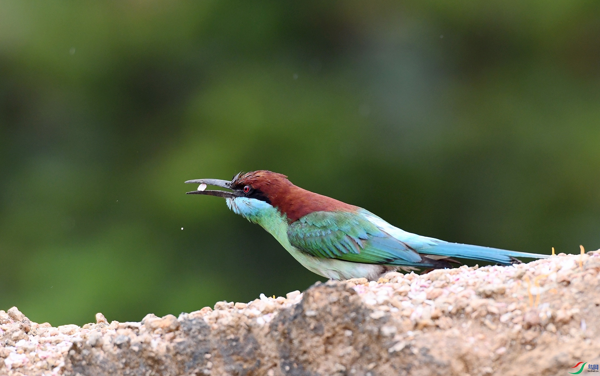 DSC_5553.jpg