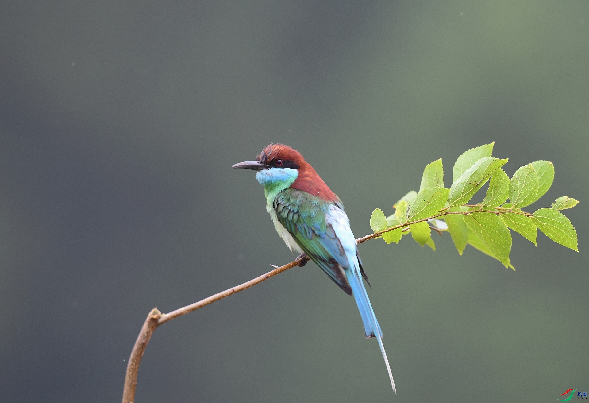 DSC_5511.jpg