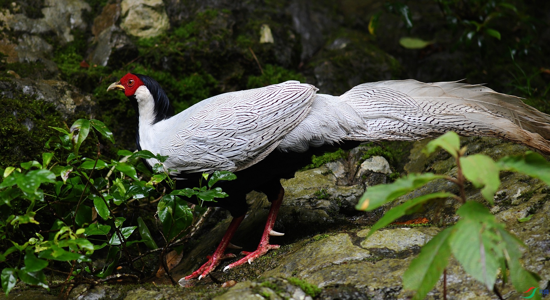 DSC_7045.jpg