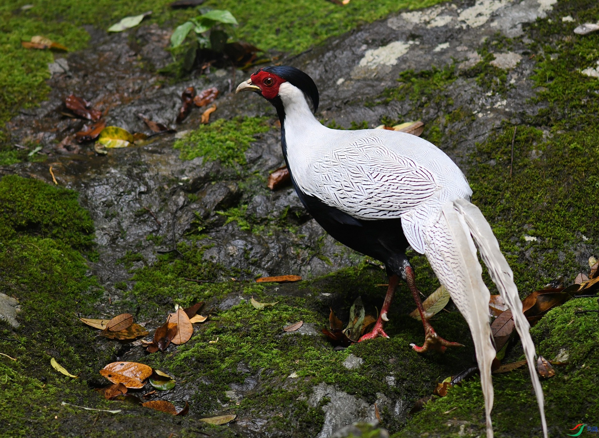 DSC_7134.jpg