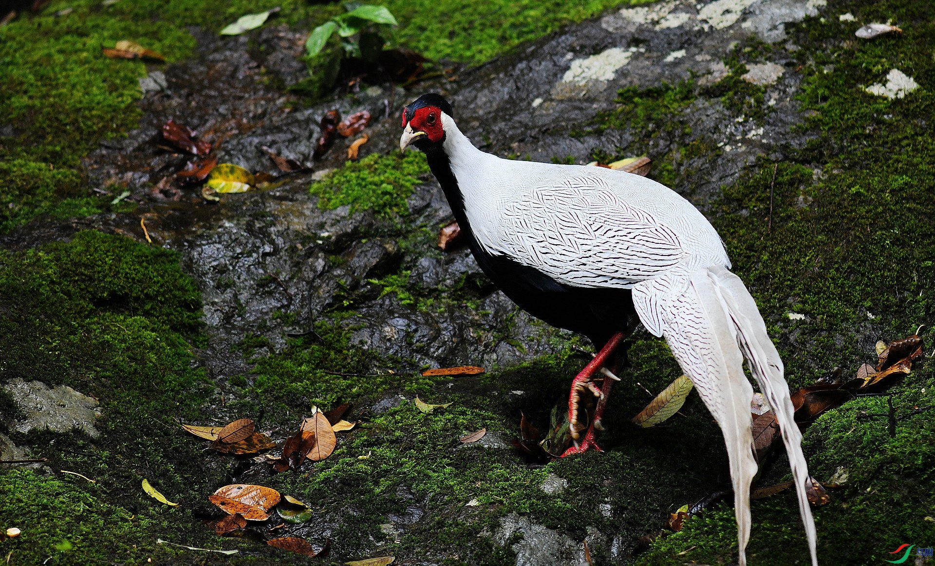 DSC_7135.jpg