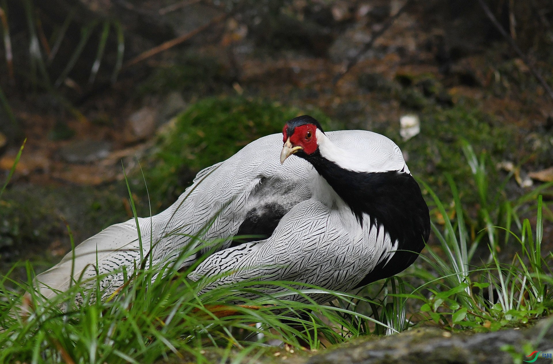 DSC_7268.jpg