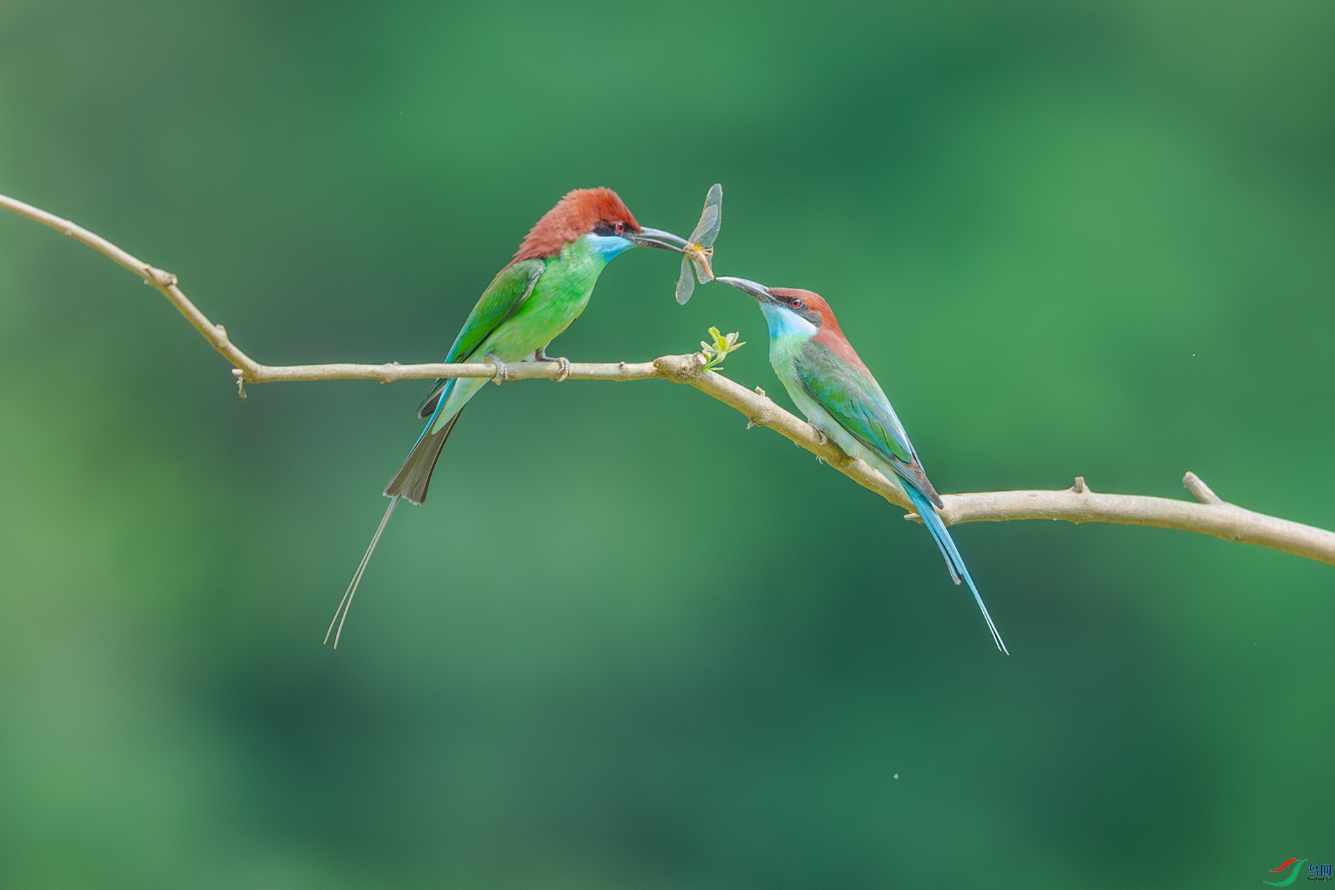 DSC_1380.jpg