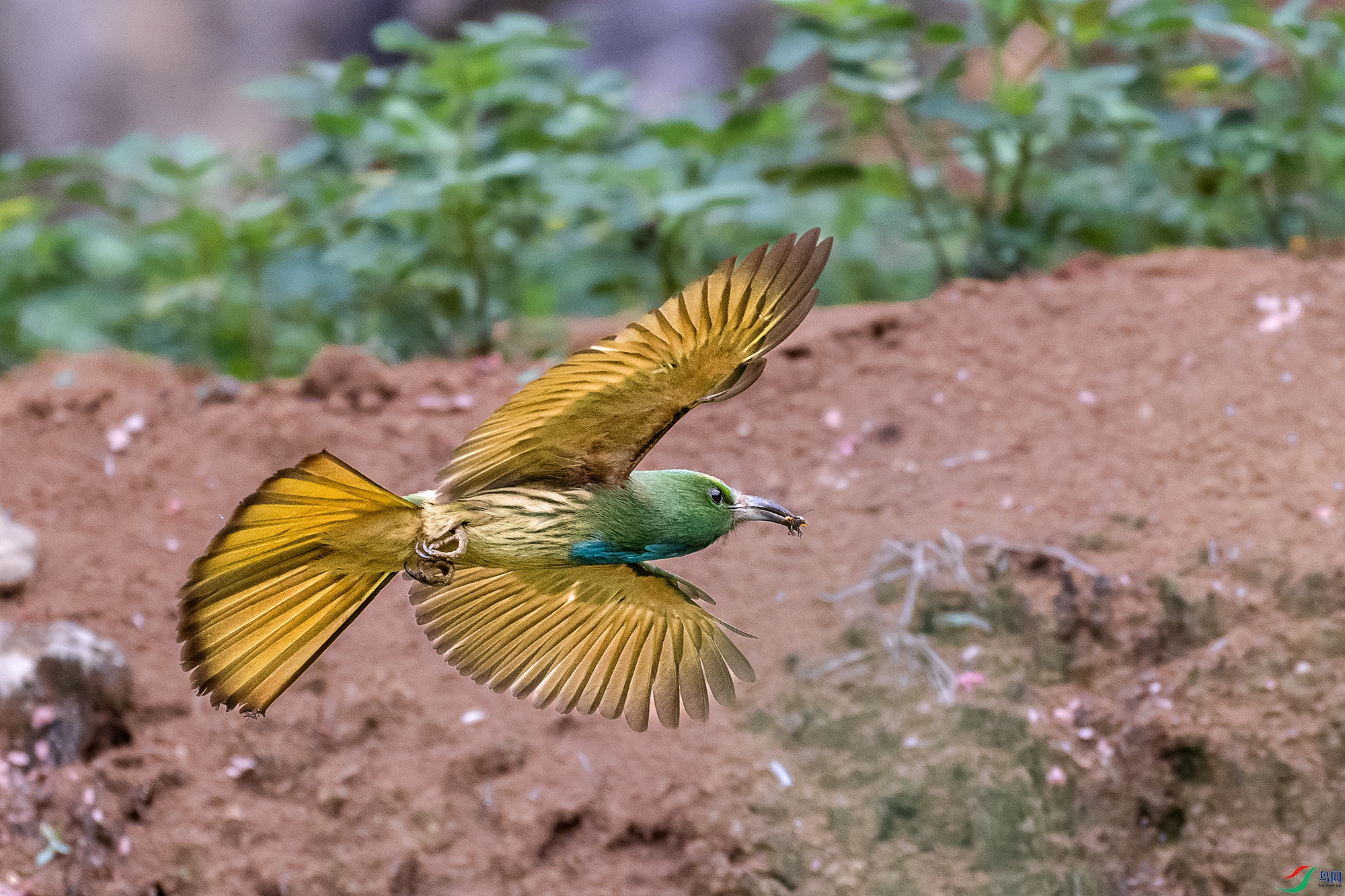 DSC_7859-1-1.jpg