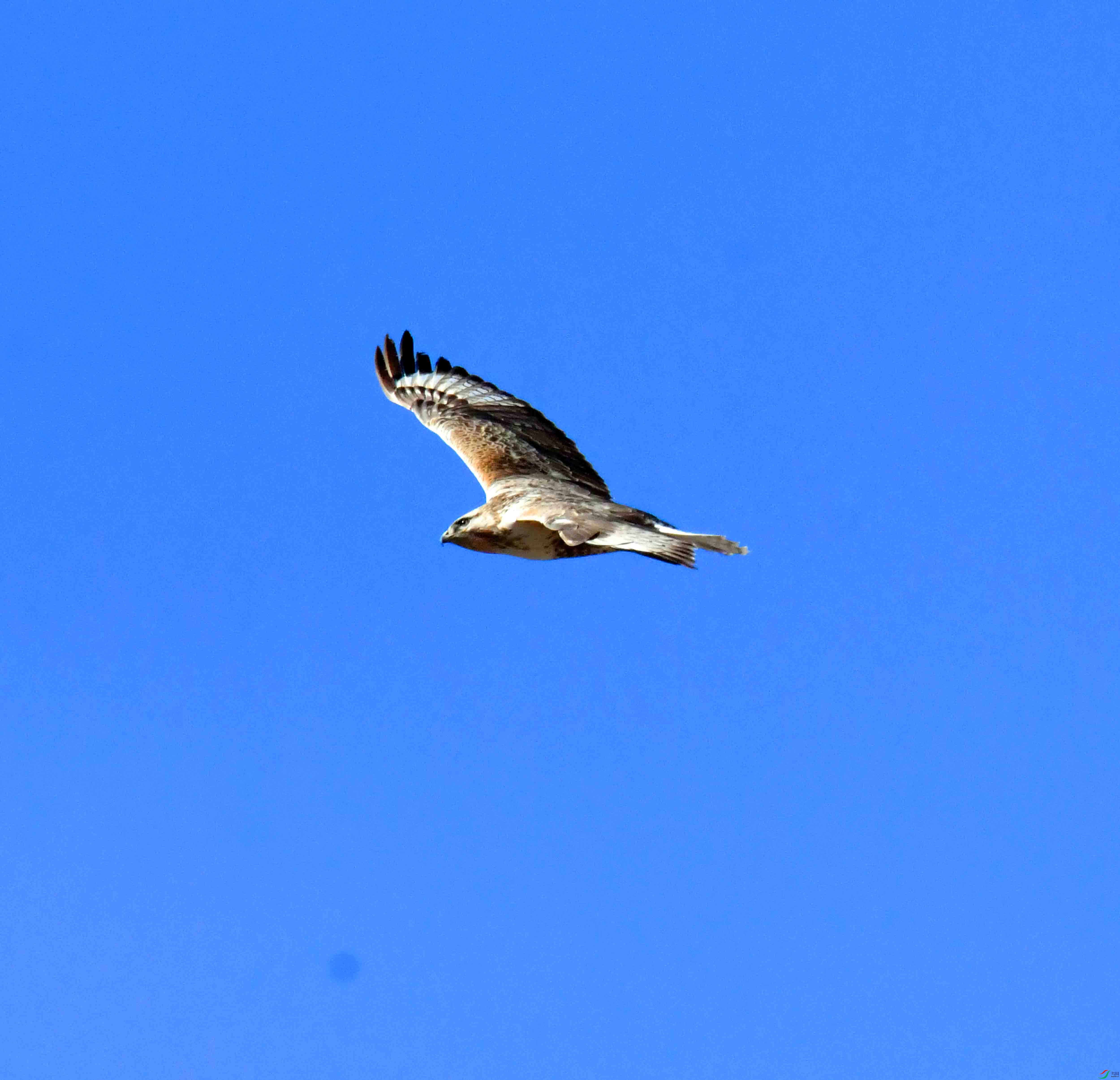 DSC_5283.JPG